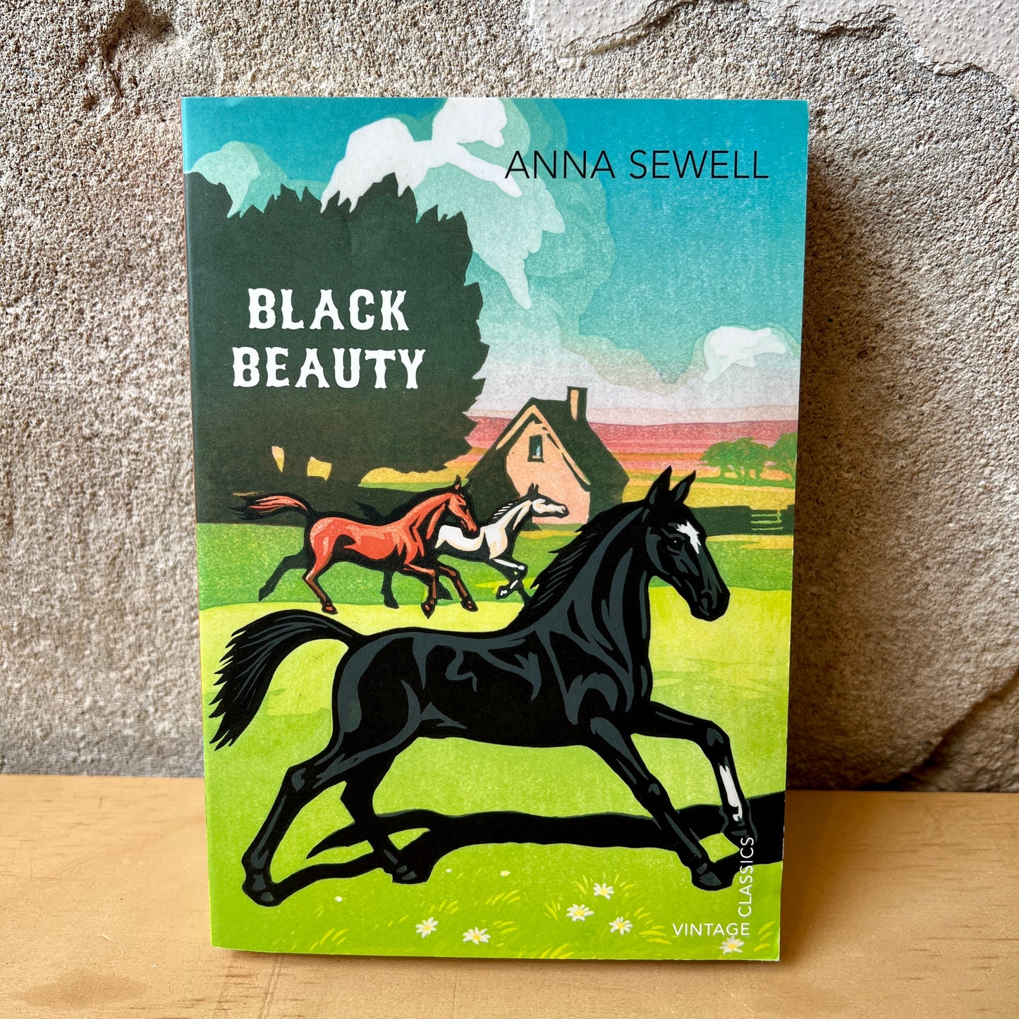 Black Beauty – Anna Sewell