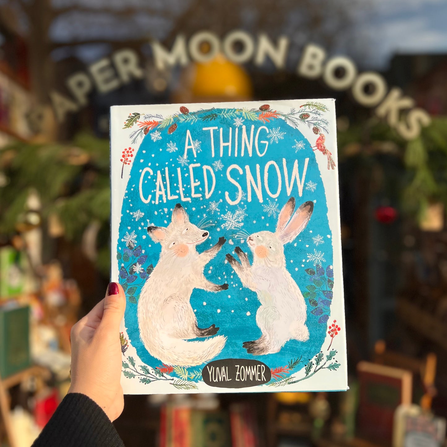 A Thing Called Snow – Yuval Zomer