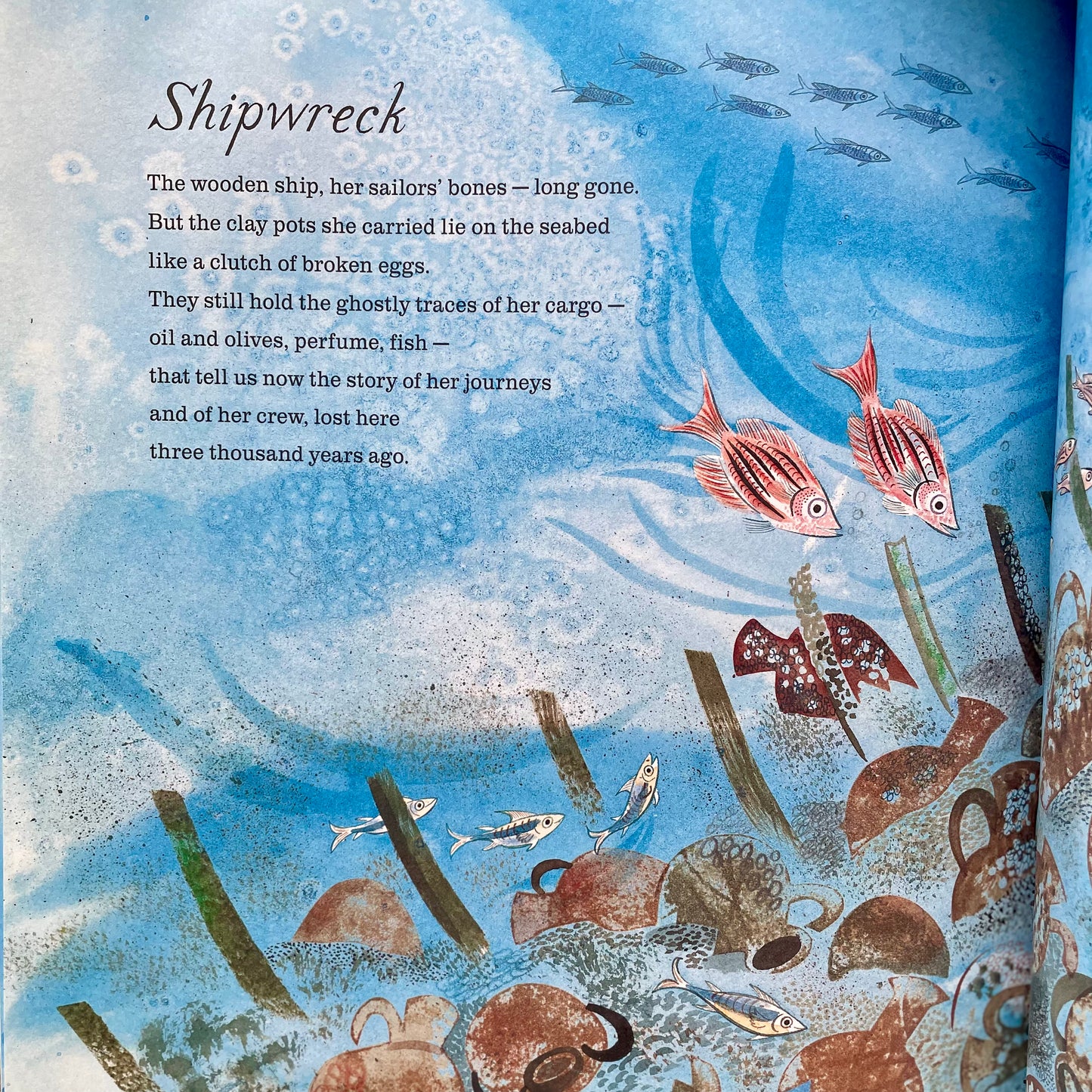 A First Book of the Sea – Nicola Davies, Emily Sutton