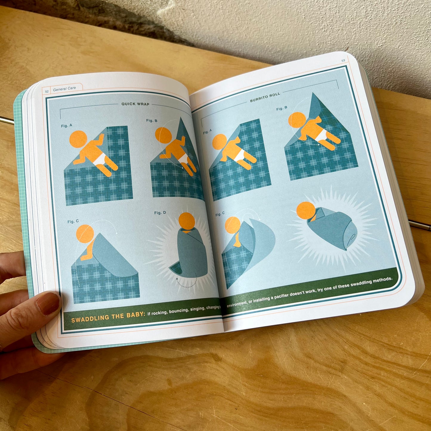 The Baby Owner's Manual – Joe Borgenicht, Louis Borgenicht