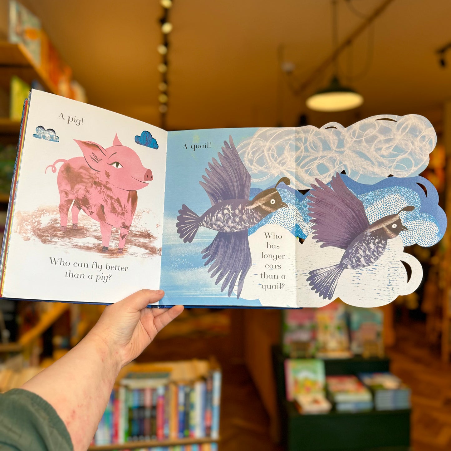 Animalphabet – Julia Donaldson and Sharon King-Chai