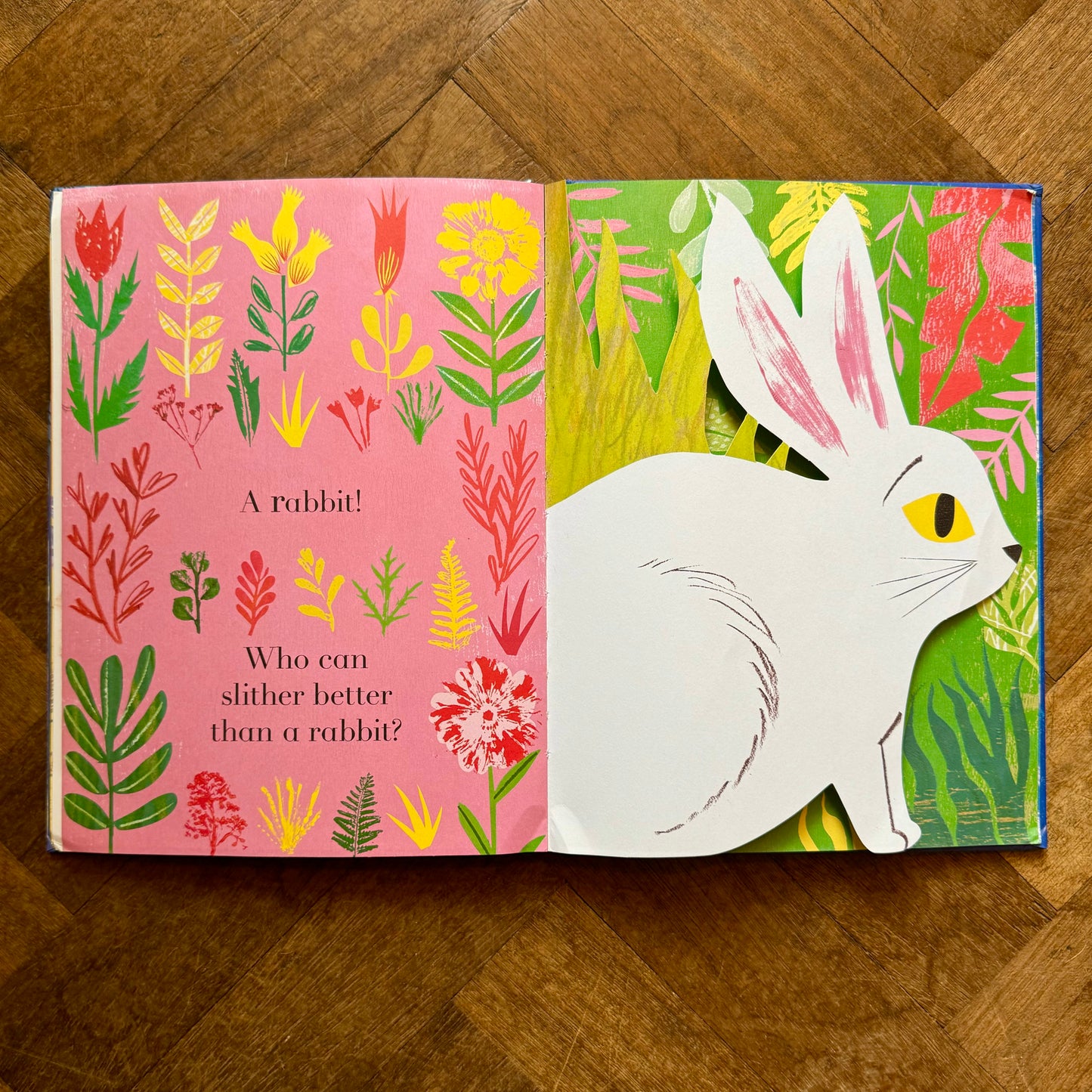 Animalphabet – Julia Donaldson and Sharon King-Chai