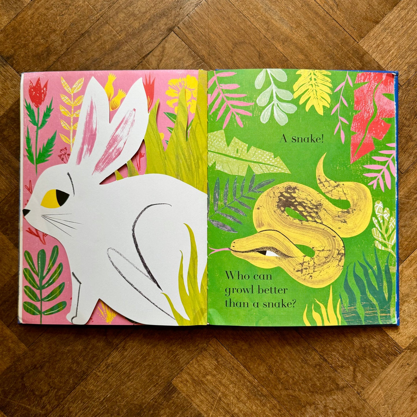 Animalphabet – Julia Donaldson and Sharon King-Chai