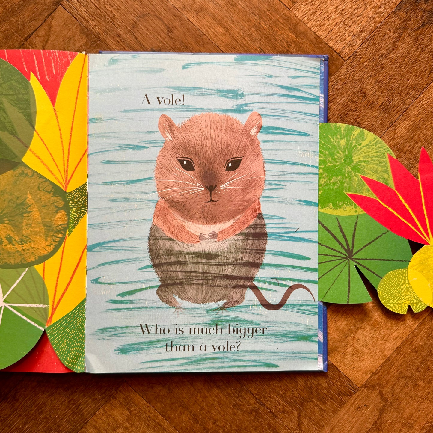 Animalphabet – Julia Donaldson and Sharon King-Chai