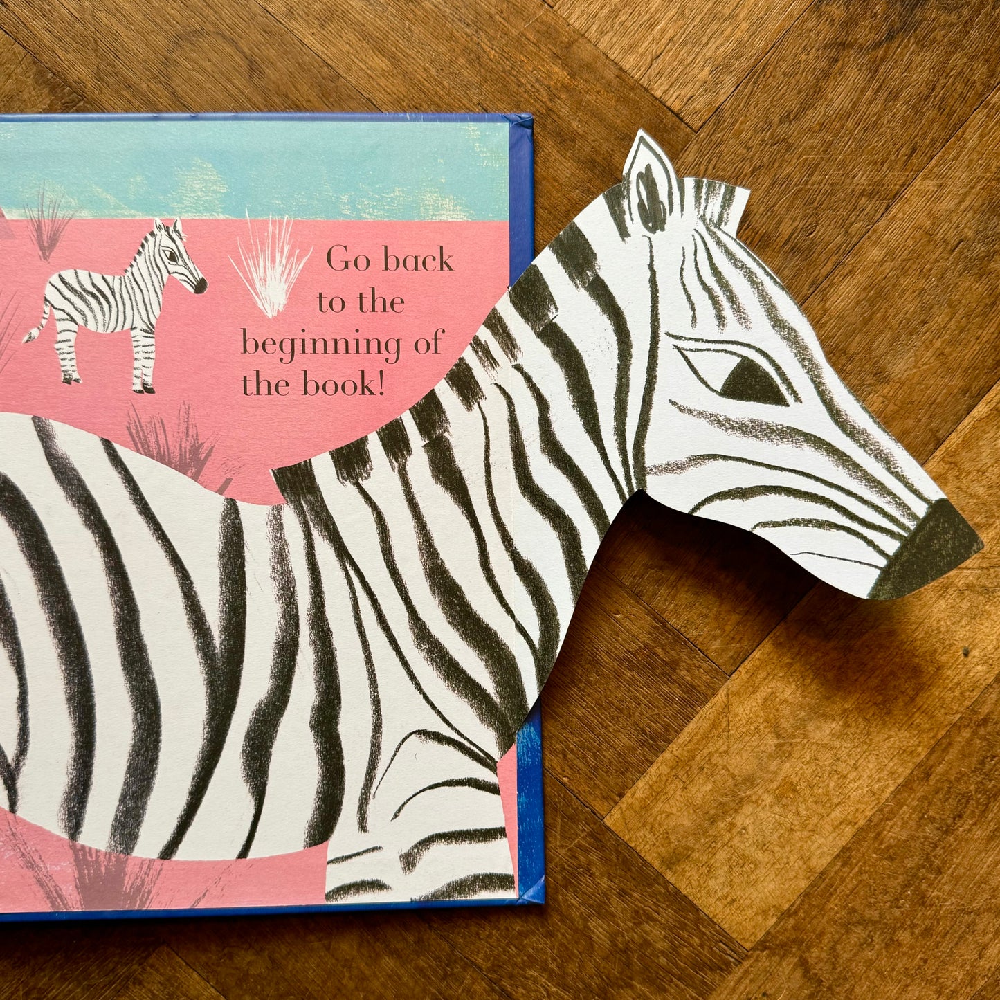 Animalphabet – Julia Donaldson and Sharon King-Chai