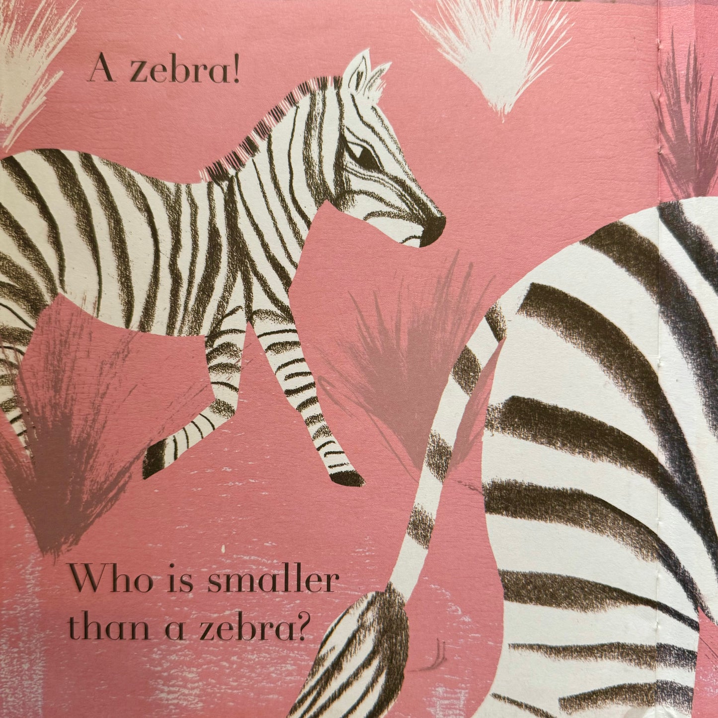 Animalphabet – Julia Donaldson and Sharon King-Chai