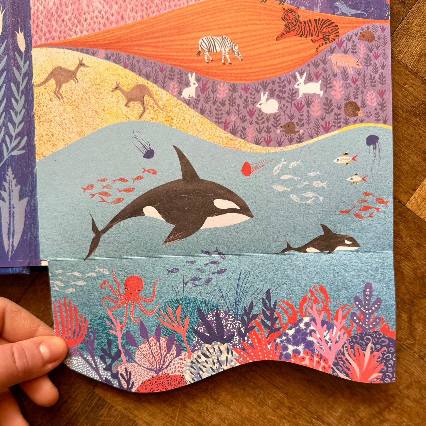 Animalphabet – Julia Donaldson and Sharon King-Chai
