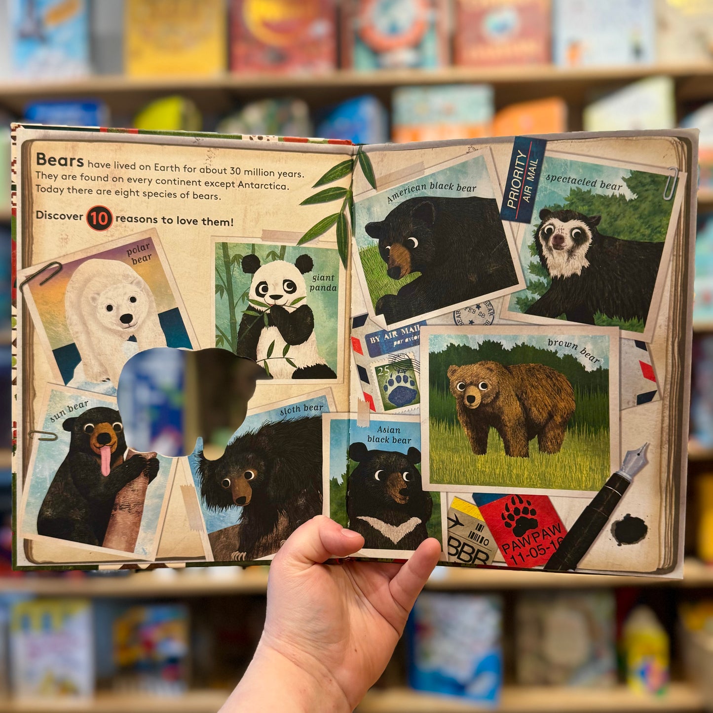 10 Reasons to Love a Bear – Catherine Barr and Hanako Clulow