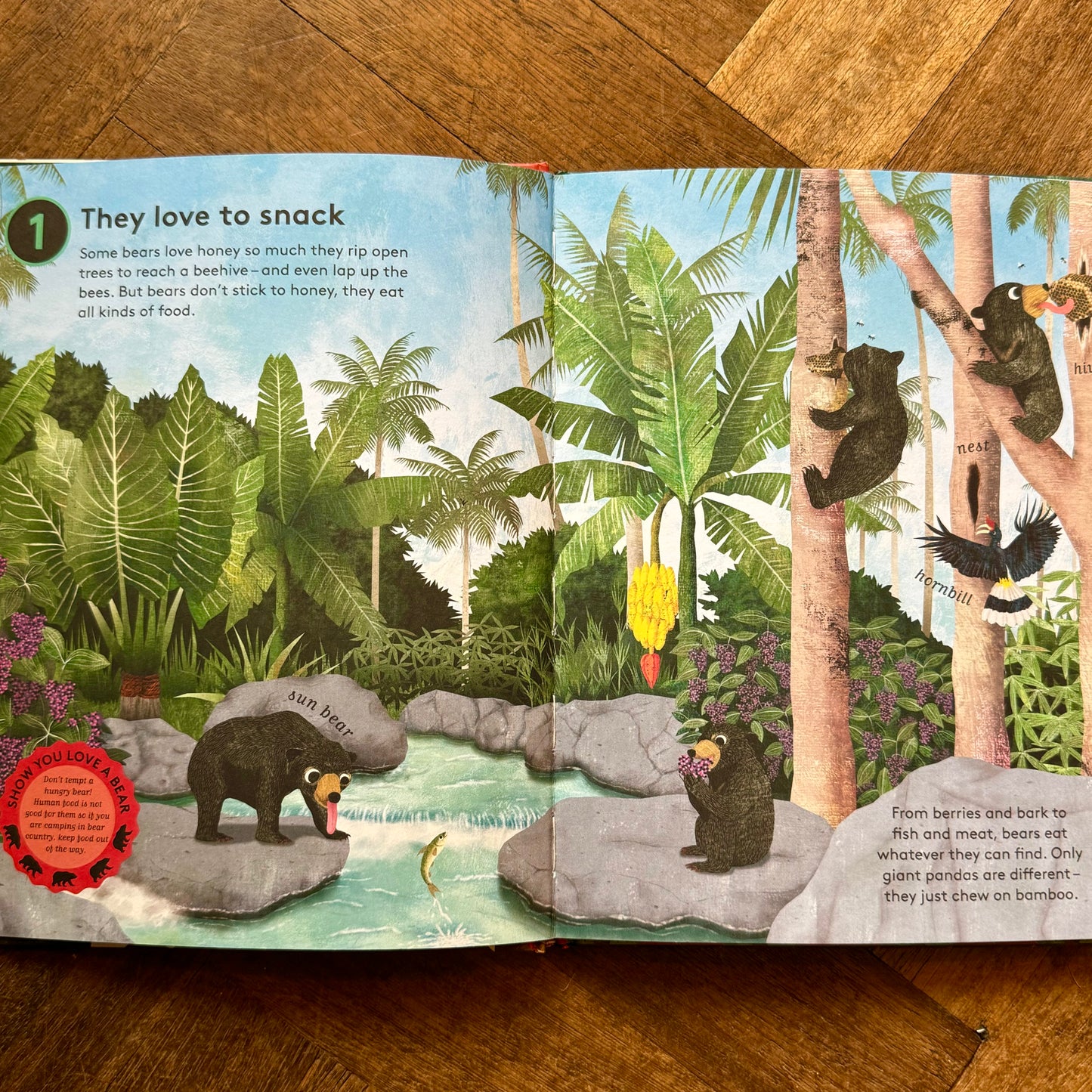 10 Reasons to Love a Bear – Catherine Barr and Hanako Clulow