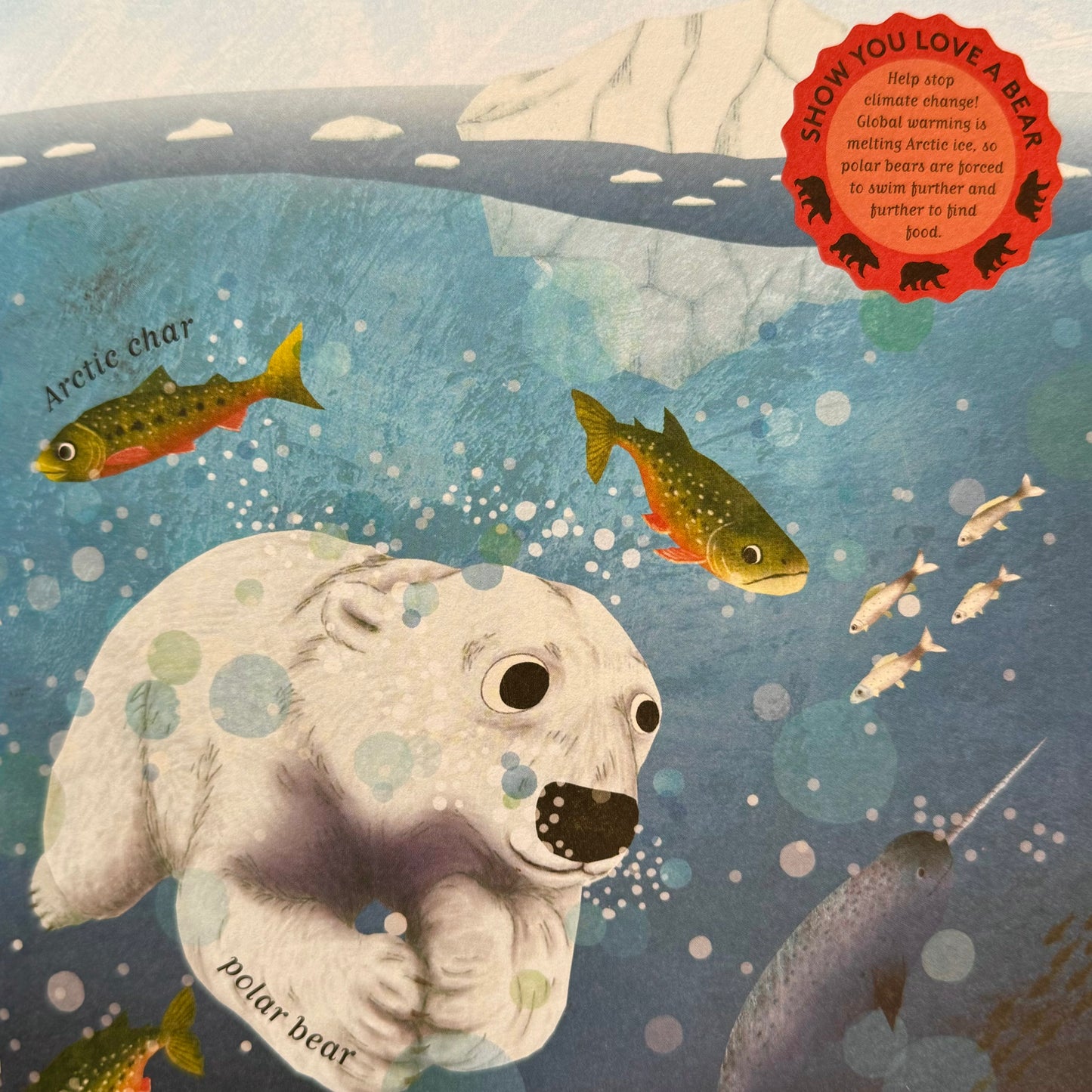 10 Reasons to Love a Bear – Catherine Barr and Hanako Clulow