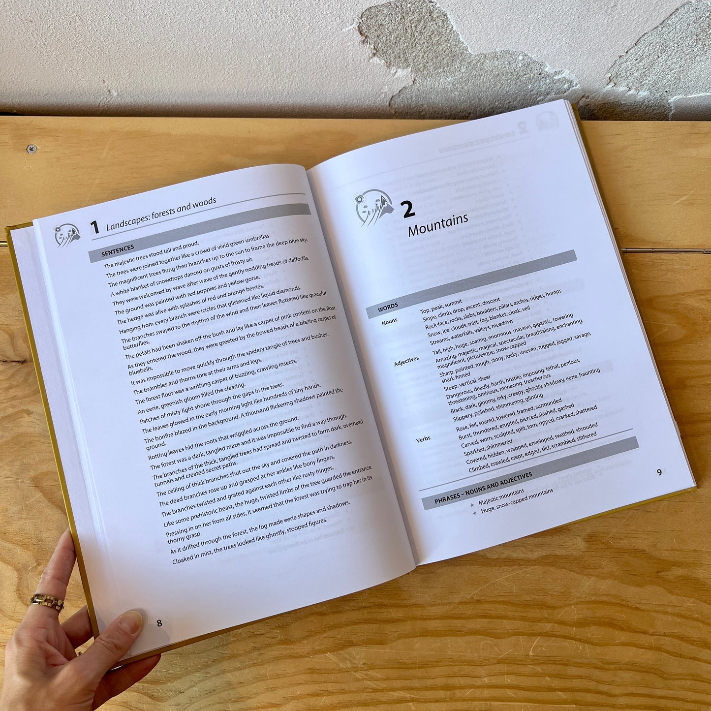 Descriptosaurus: Supporting Creative Writing for Ages 8–14 – Alison Wilcox