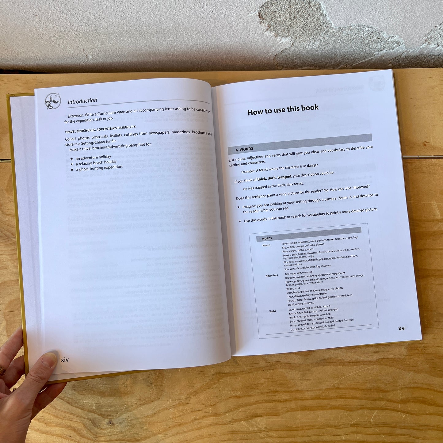Descriptosaurus: Supporting Creative Writing for Ages 8–14 – Alison Wilcox