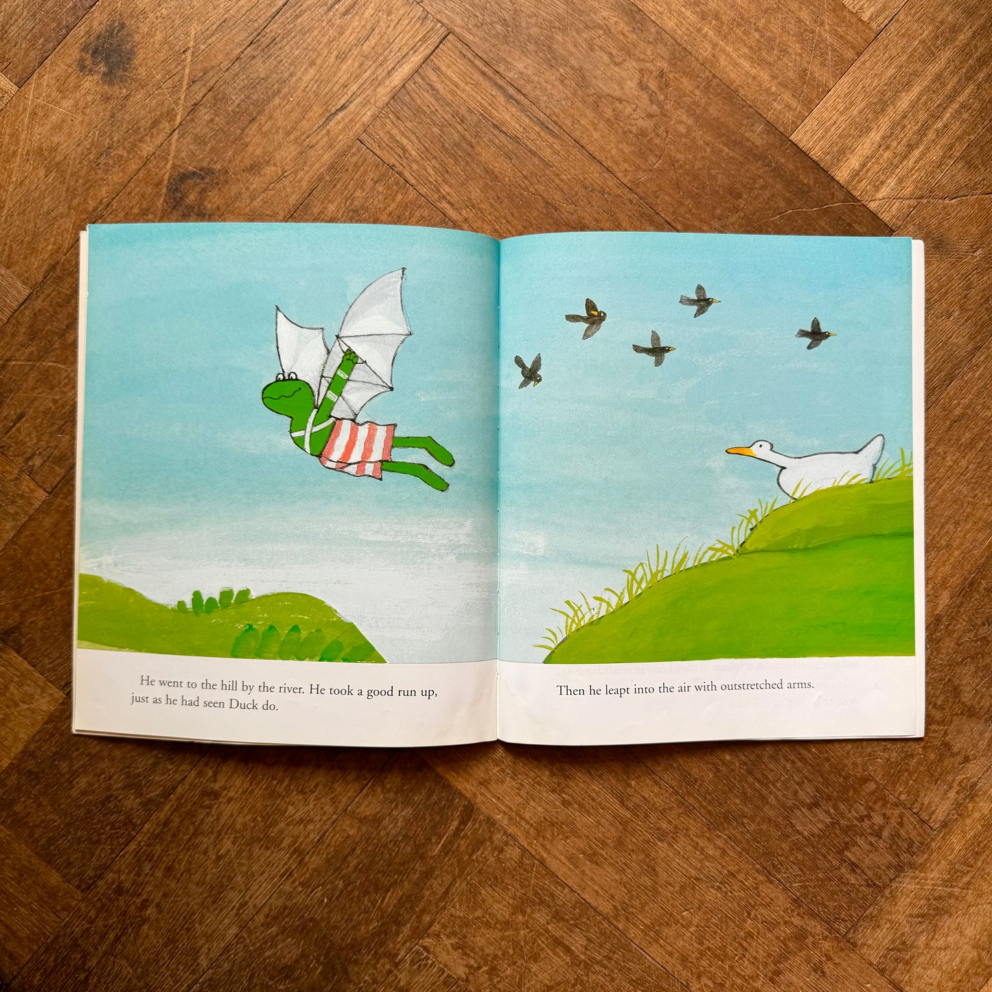 Frog is Frog – Max Velthuijs