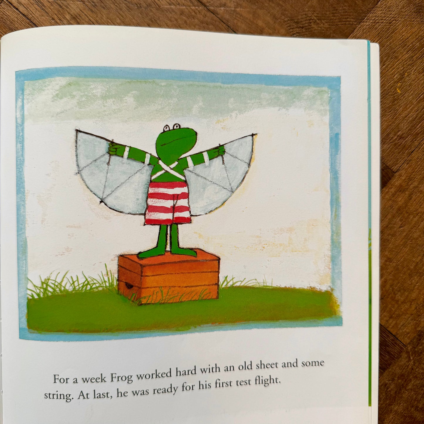 Frog is Frog – Max Velthuijs