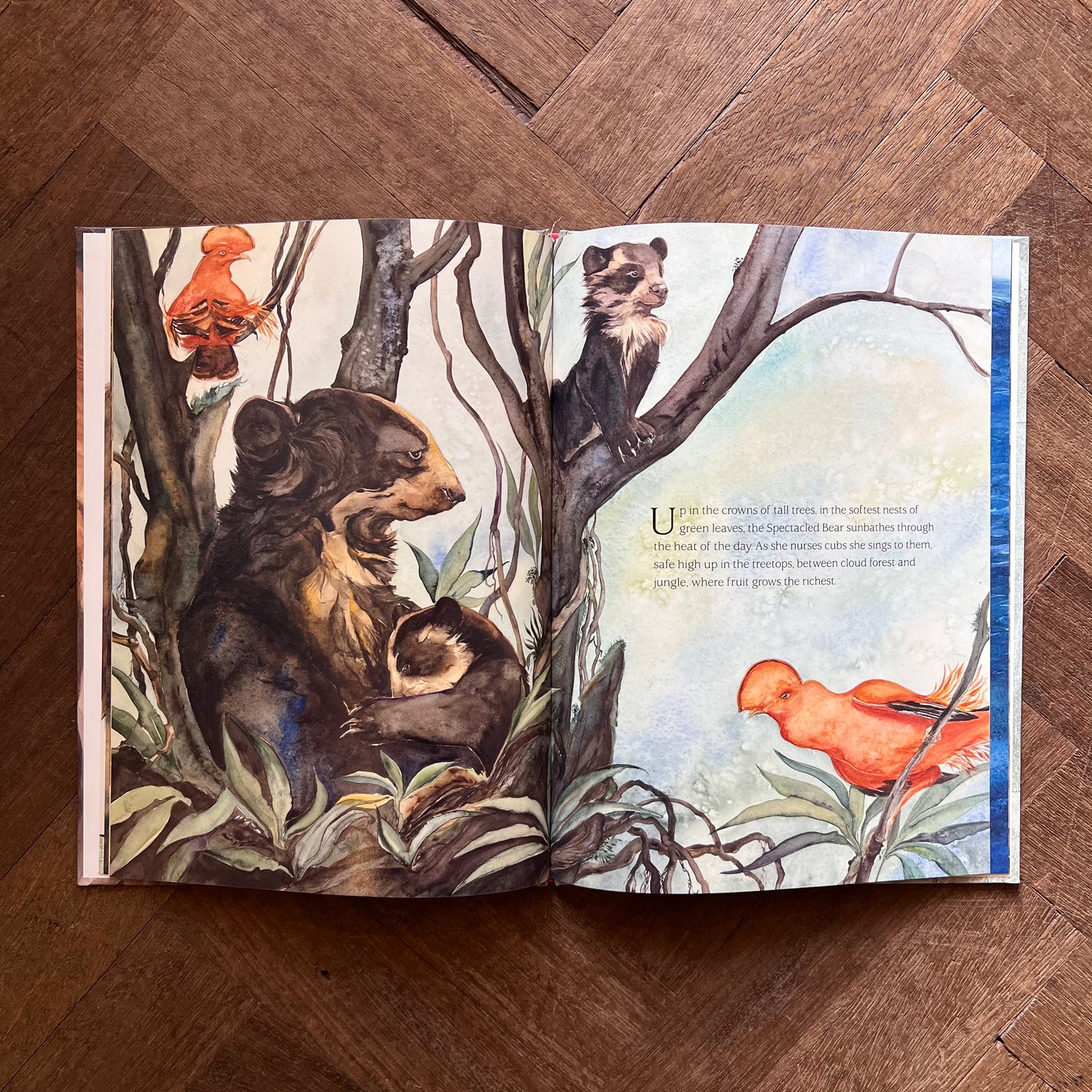 Something About a Bear (Signed) – Jackie Morris