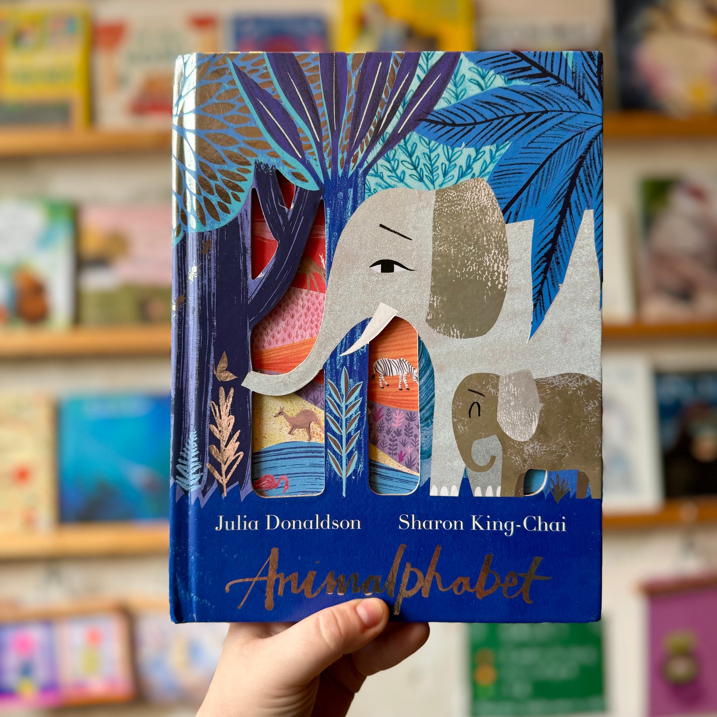 Animalphabet – Julia Donaldson and Sharon King-Chai