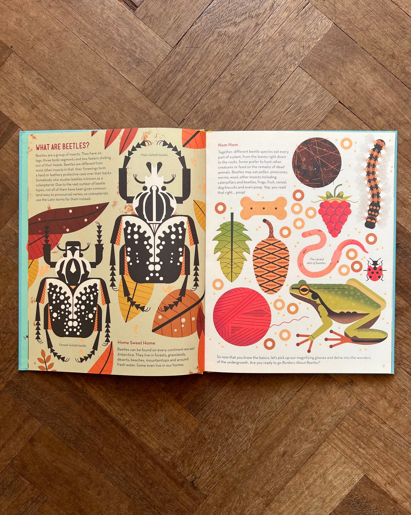 Bonkers About Beetles – Owen Davey