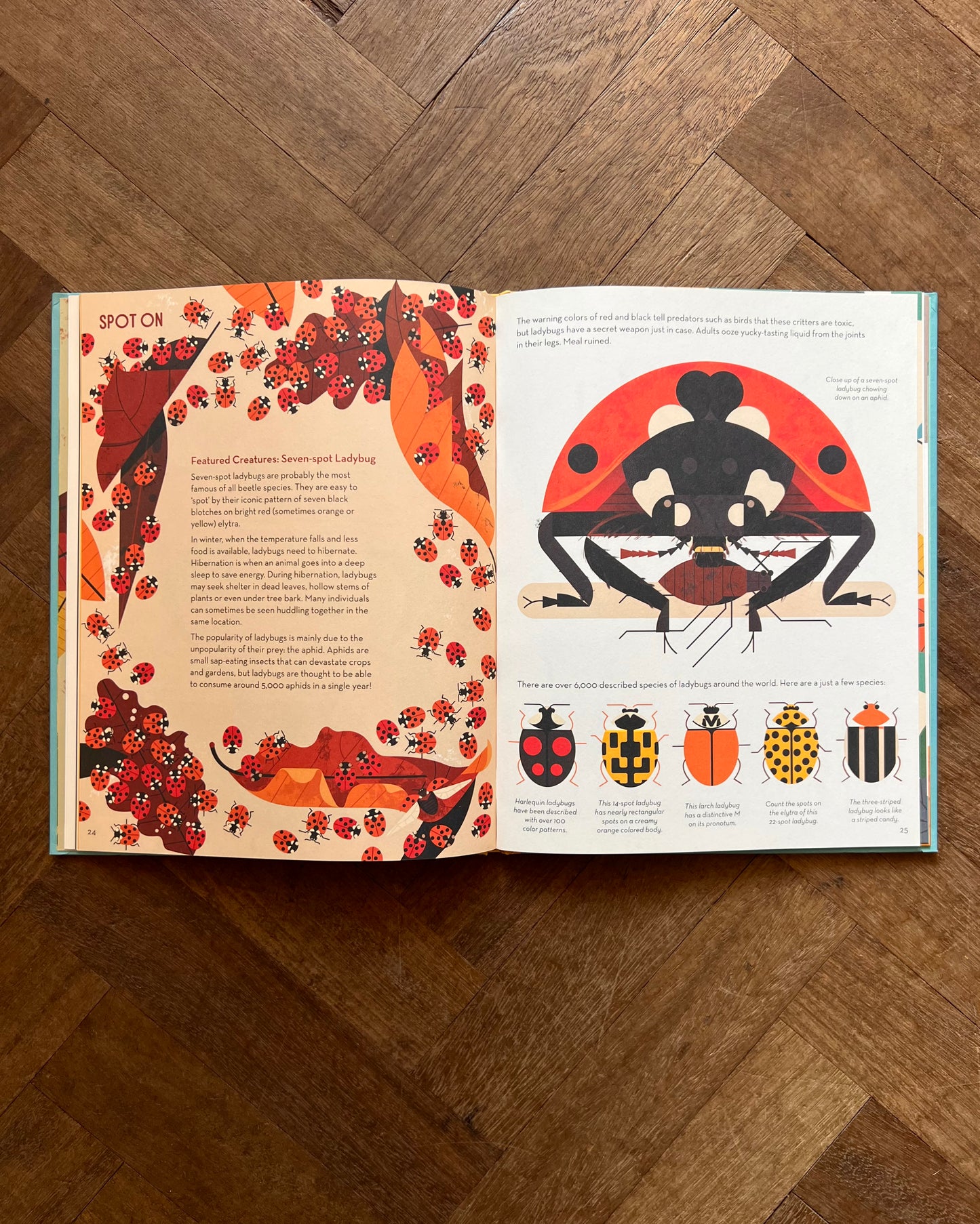 Bonkers About Beetles – Owen Davey