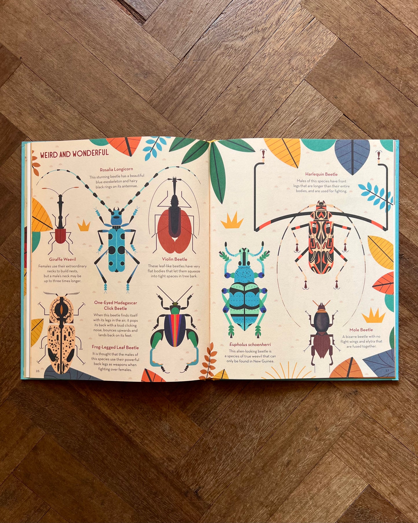 Bonkers About Beetles – Owen Davey