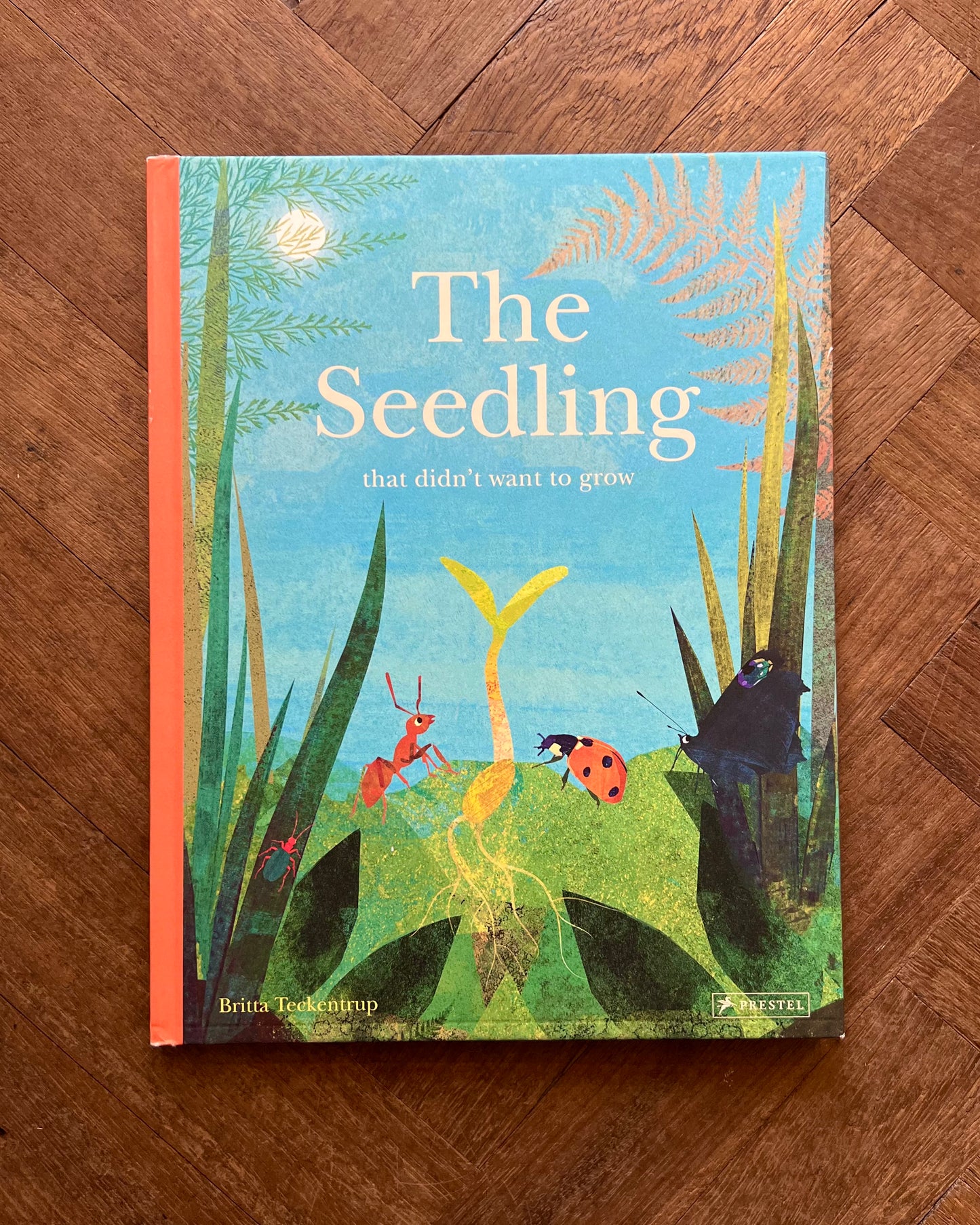 The Seedling That Didn't Want to Grow – Britta Teckentrup