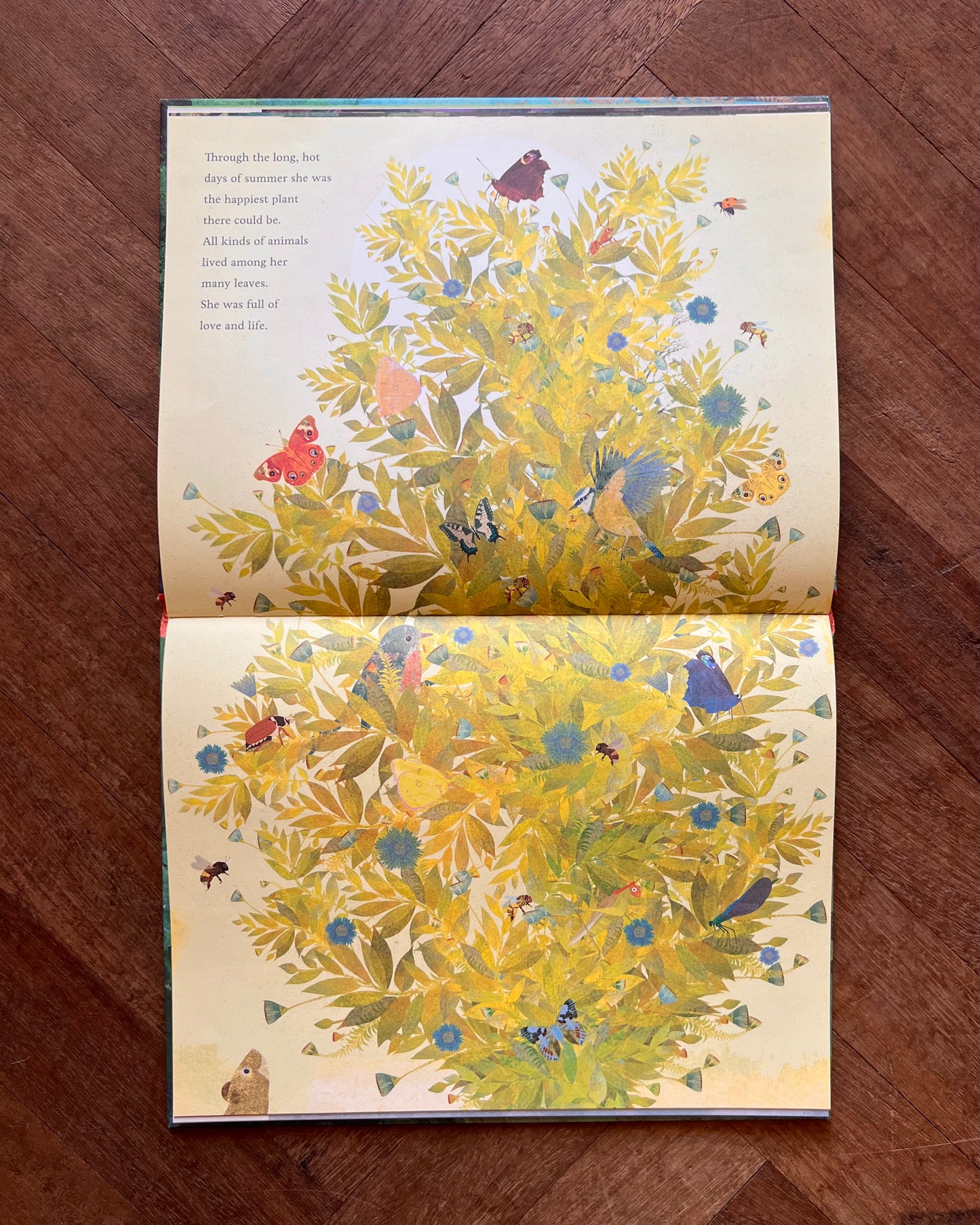 The Seedling That Didn't Want to Grow – Britta Teckentrup