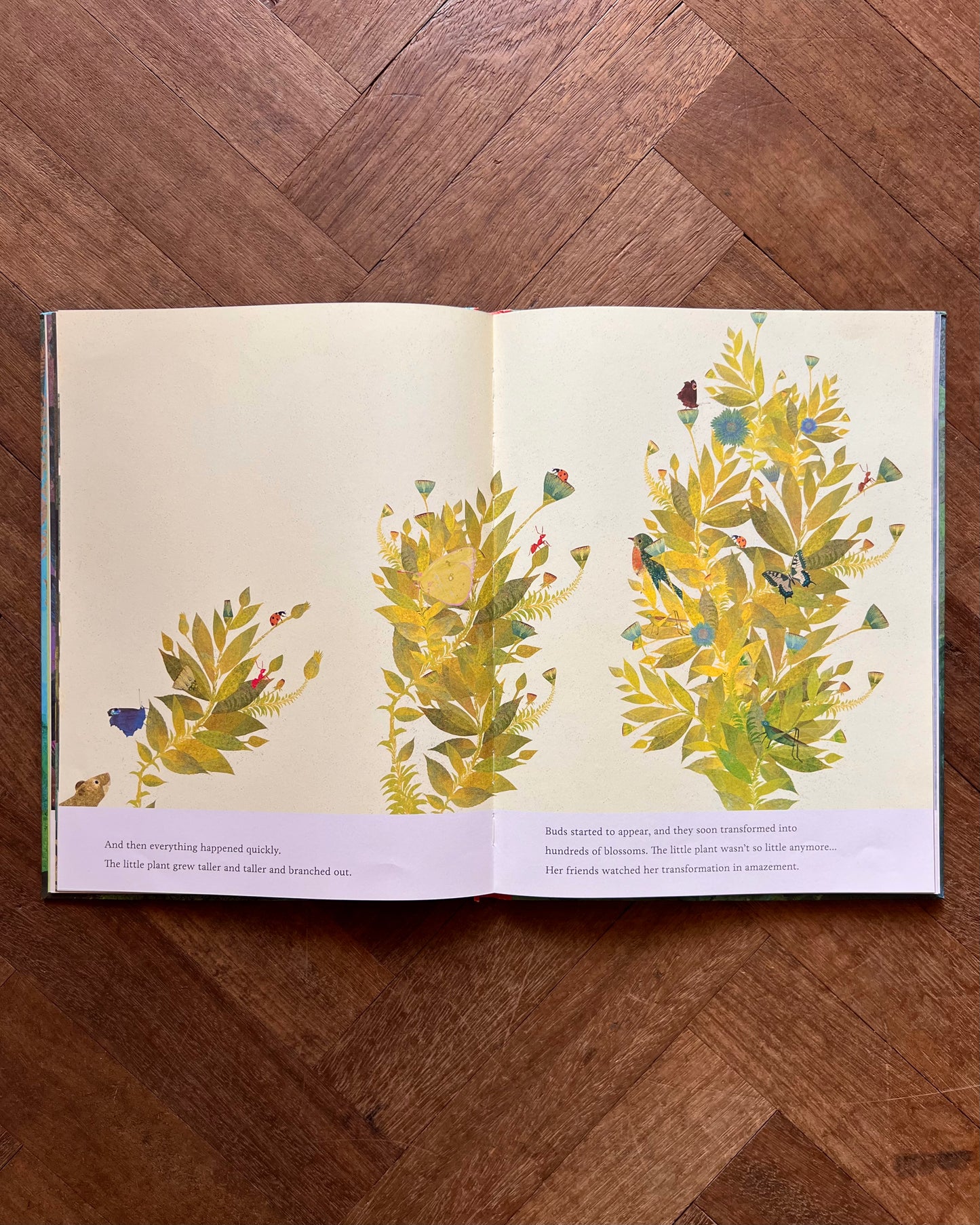 The Seedling That Didn't Want to Grow – Britta Teckentrup