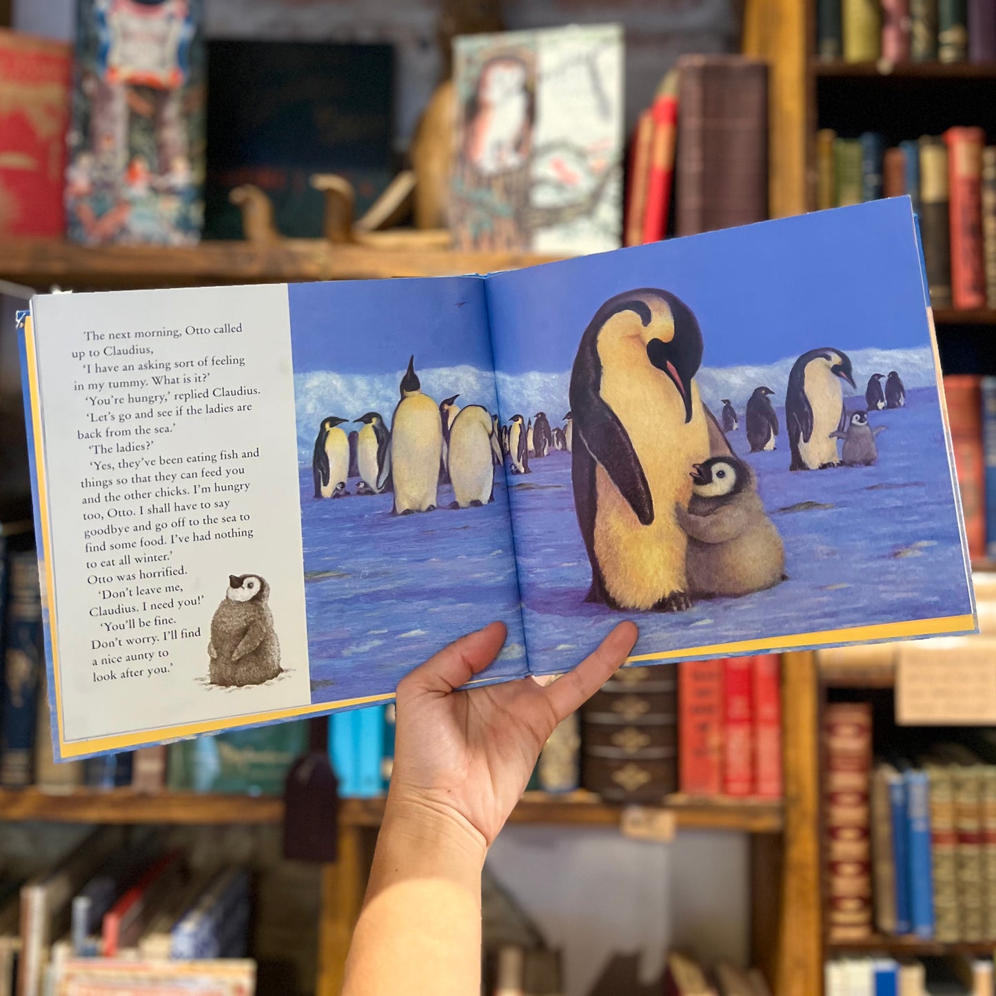 The Penguin Who Wanted to Find Out (2009 First Edition) – Jill Tomlinson and Paul Howard