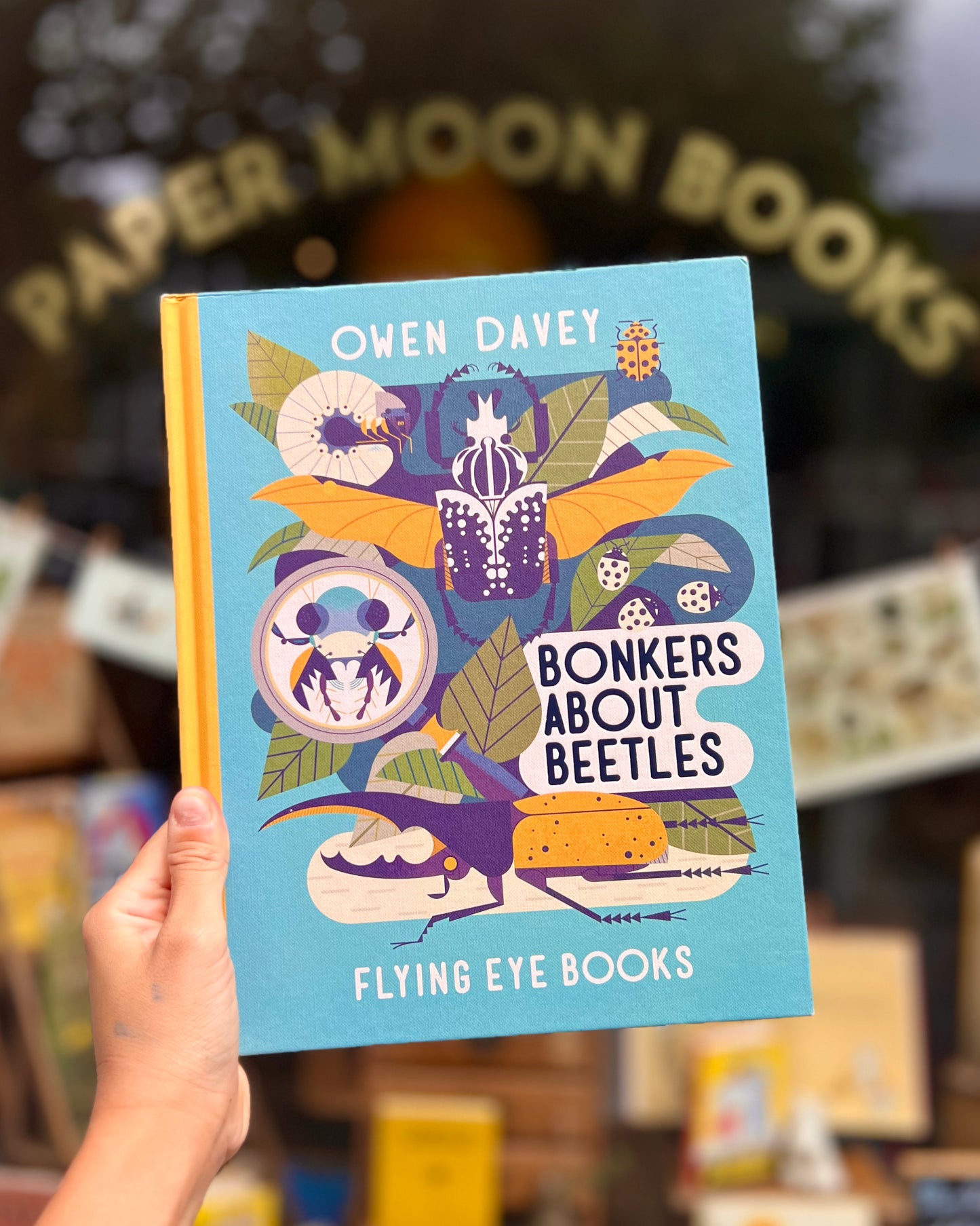 Bonkers About Beetles – Owen Davey