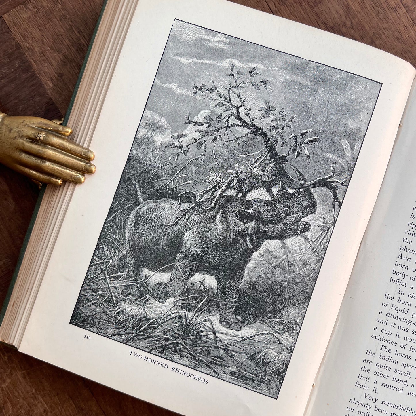 The World of Animal Life – ed. by Fred Smith