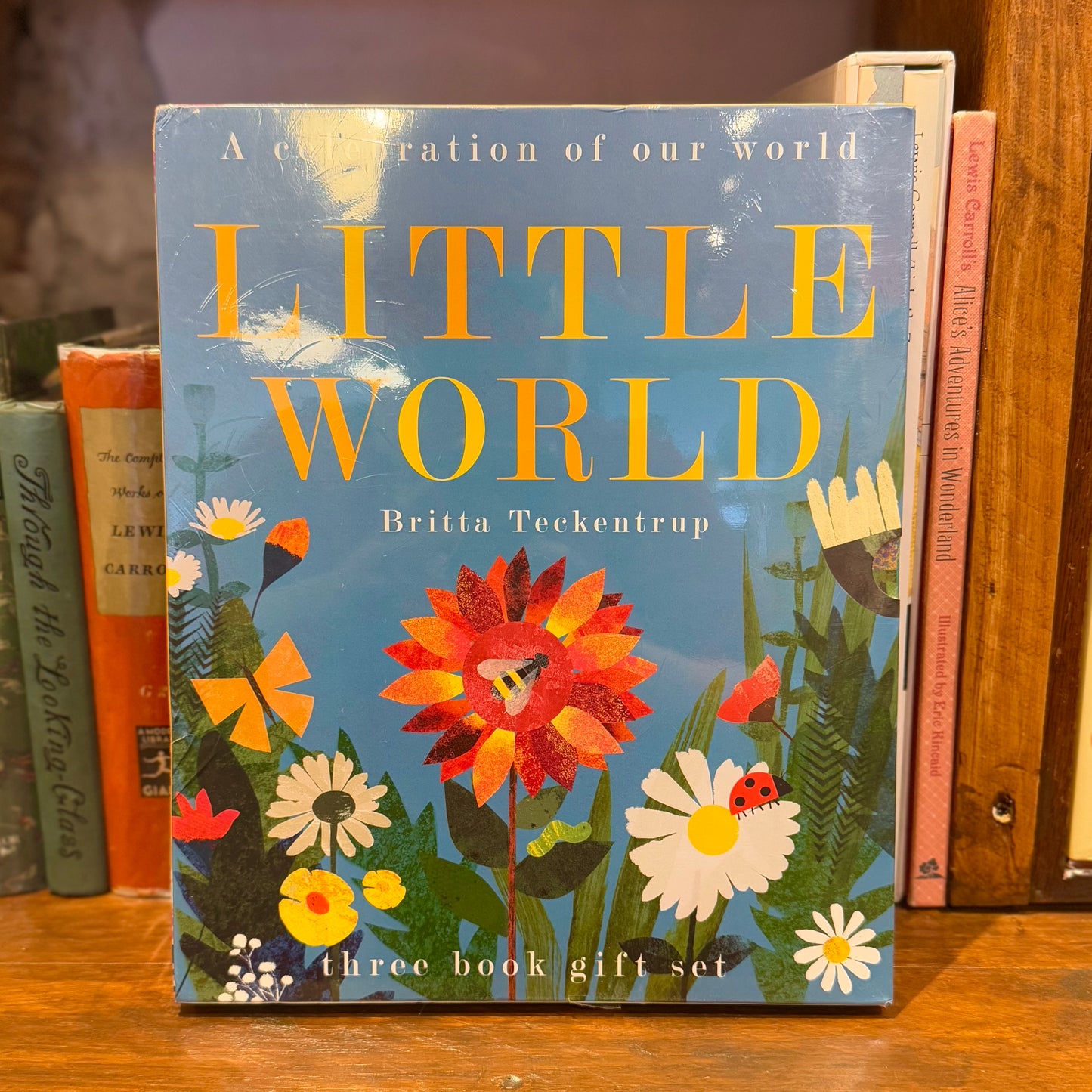 Little World: A Celebration of Our World (Set of 3 Books) – Britta Teckentrup