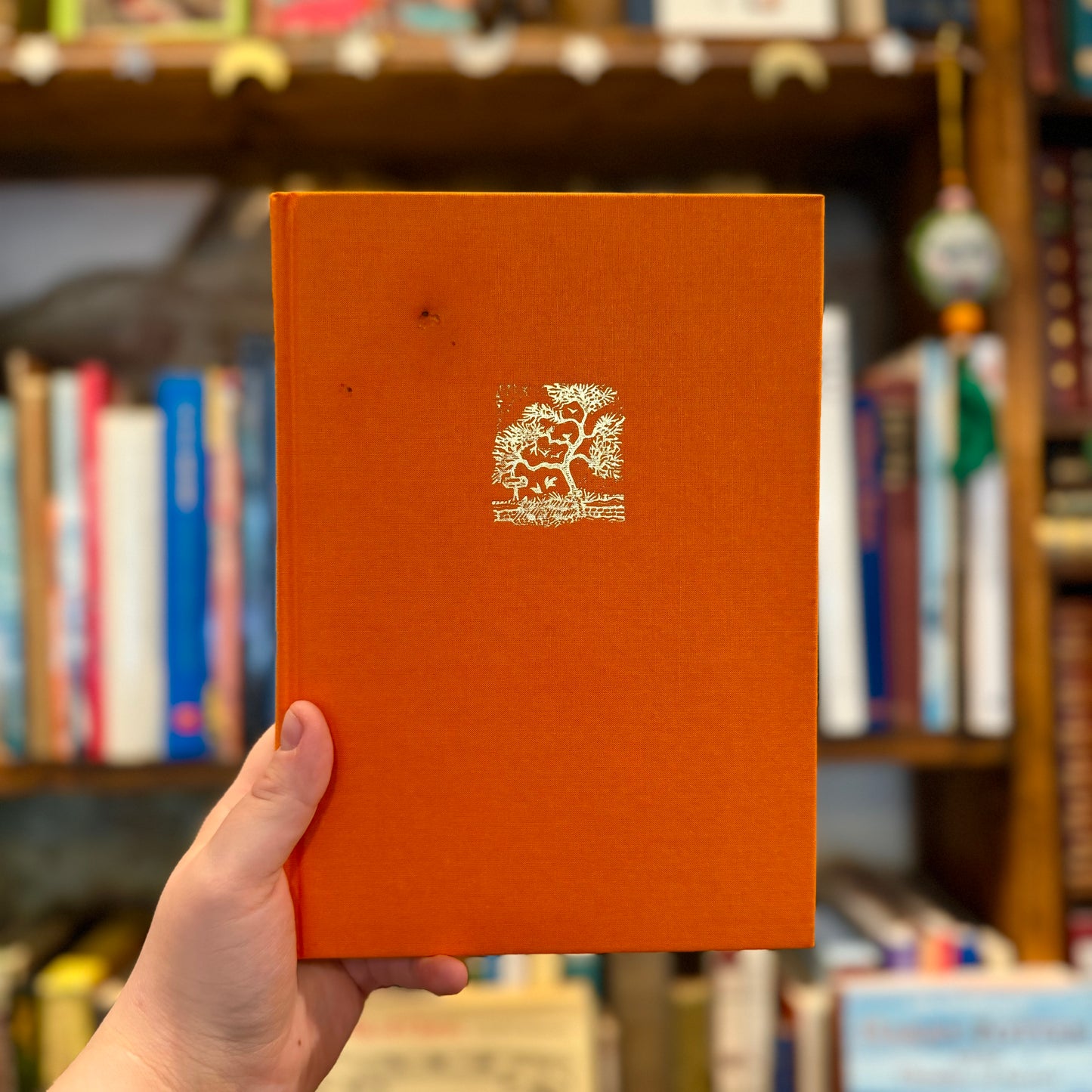 The Magic Apple Tree – Susan Hill