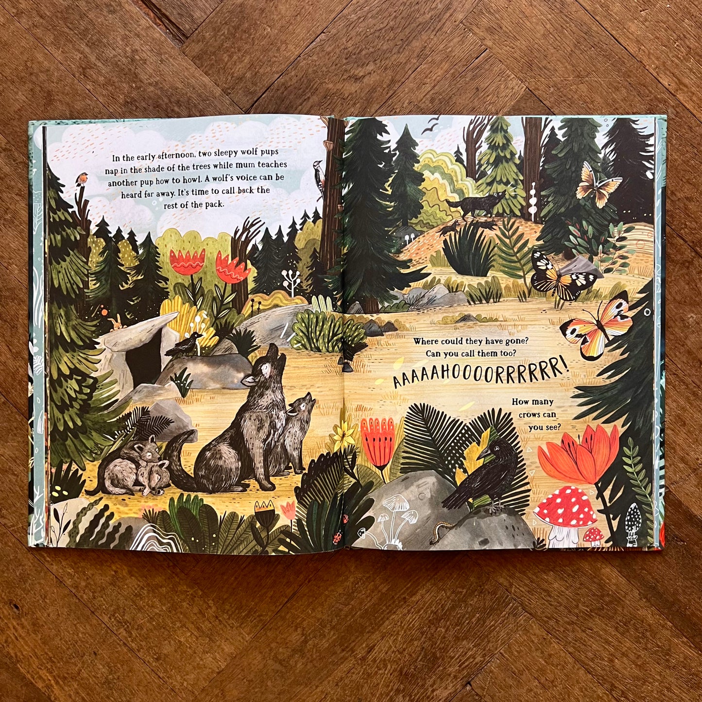 The Secret Forest – Sandra Dieckmann