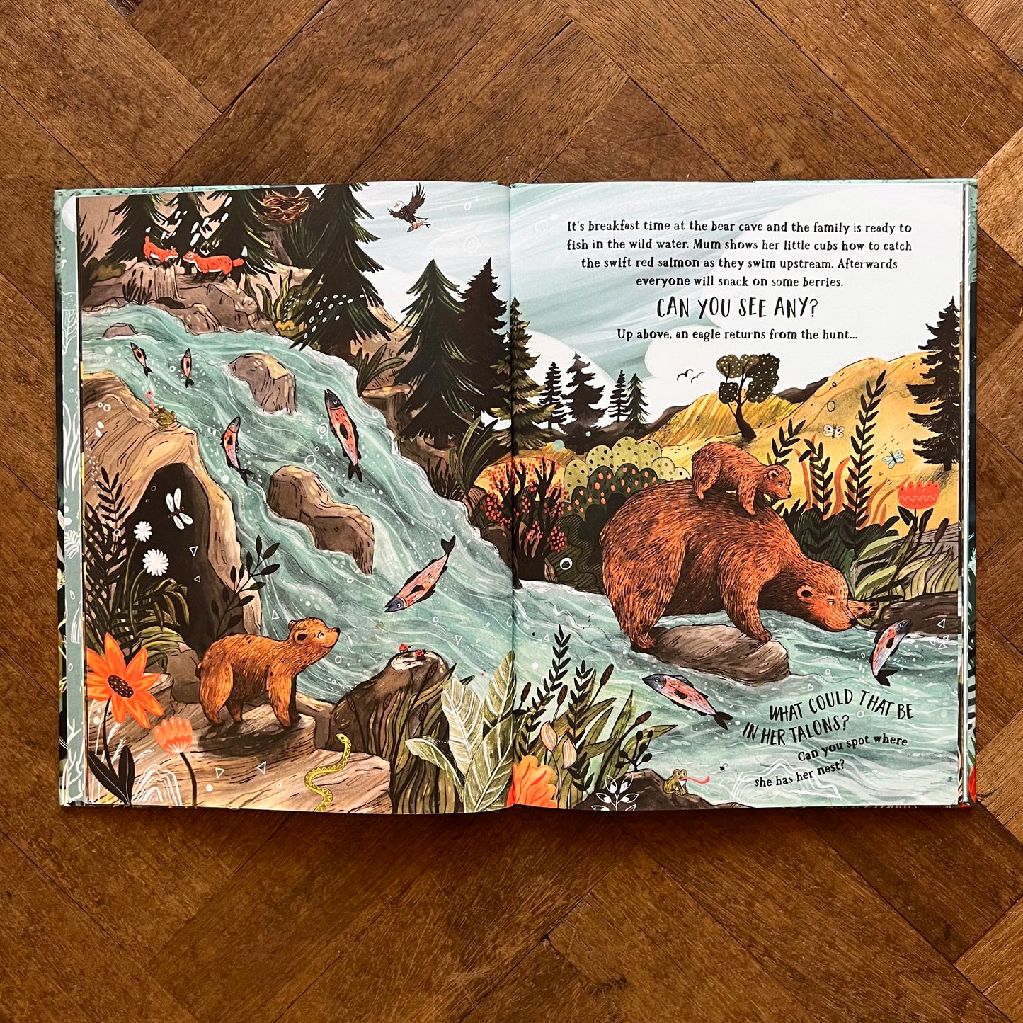 The Secret Forest – Sandra Dieckmann