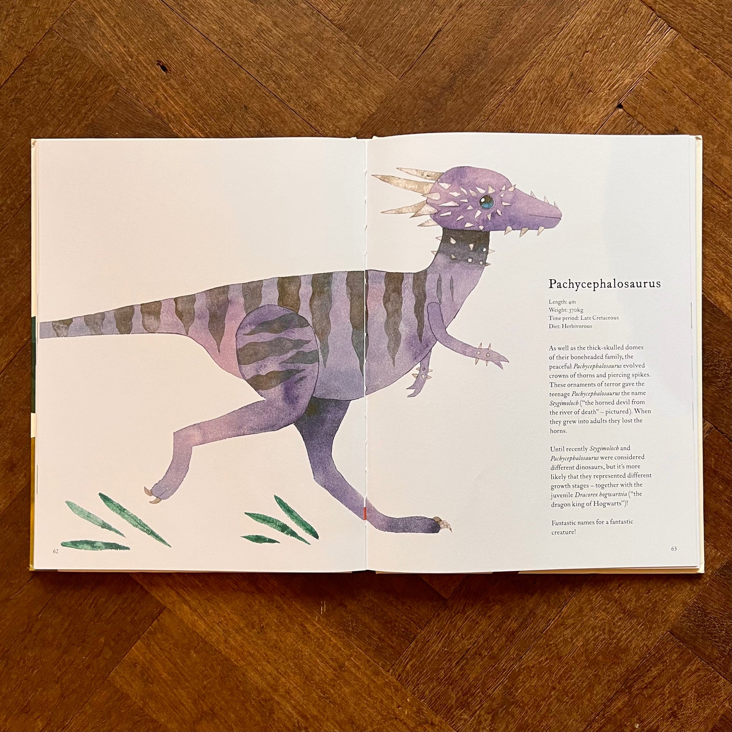Dinosaurs and Other Prehistoric Creatures – Matt Sewell