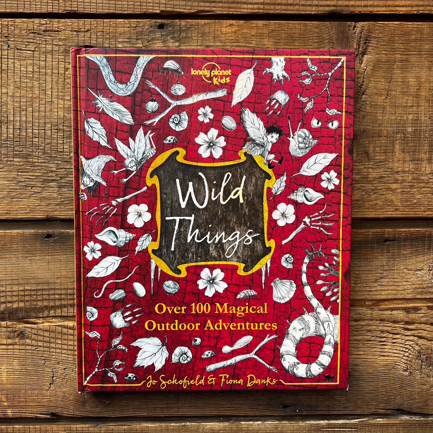 Wild Things: Over 100 Magical Outdoor Adventures – Jo Schofield, Fiona Fanks