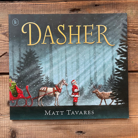 Dasher: How a Brave Little Doe Changed Christmas – Matt Tavares