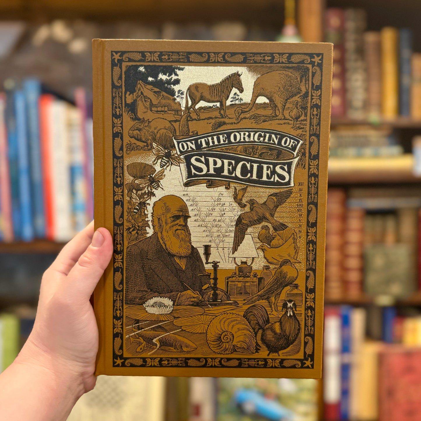 On the Origin of Species (Folio) – Charles Darwin