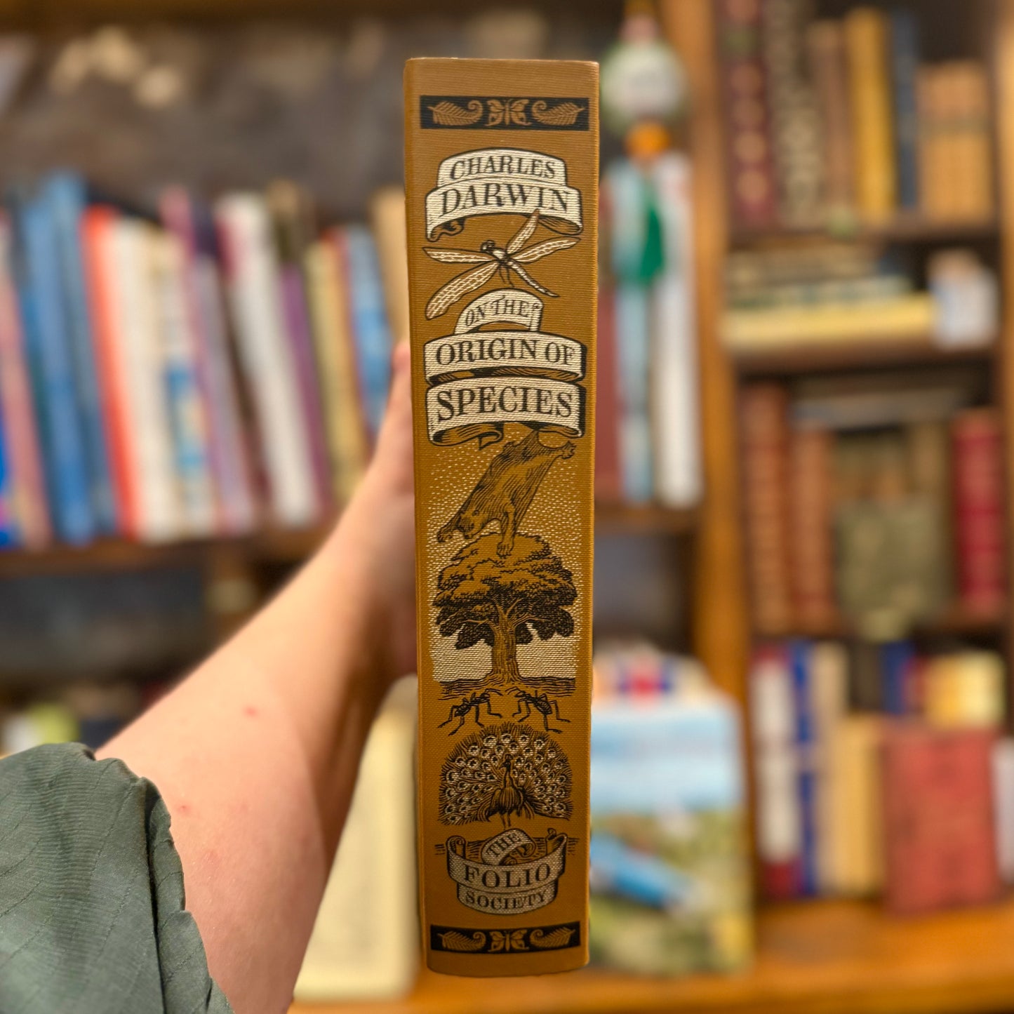 On the Origin of Species (Folio) – Charles Darwin
