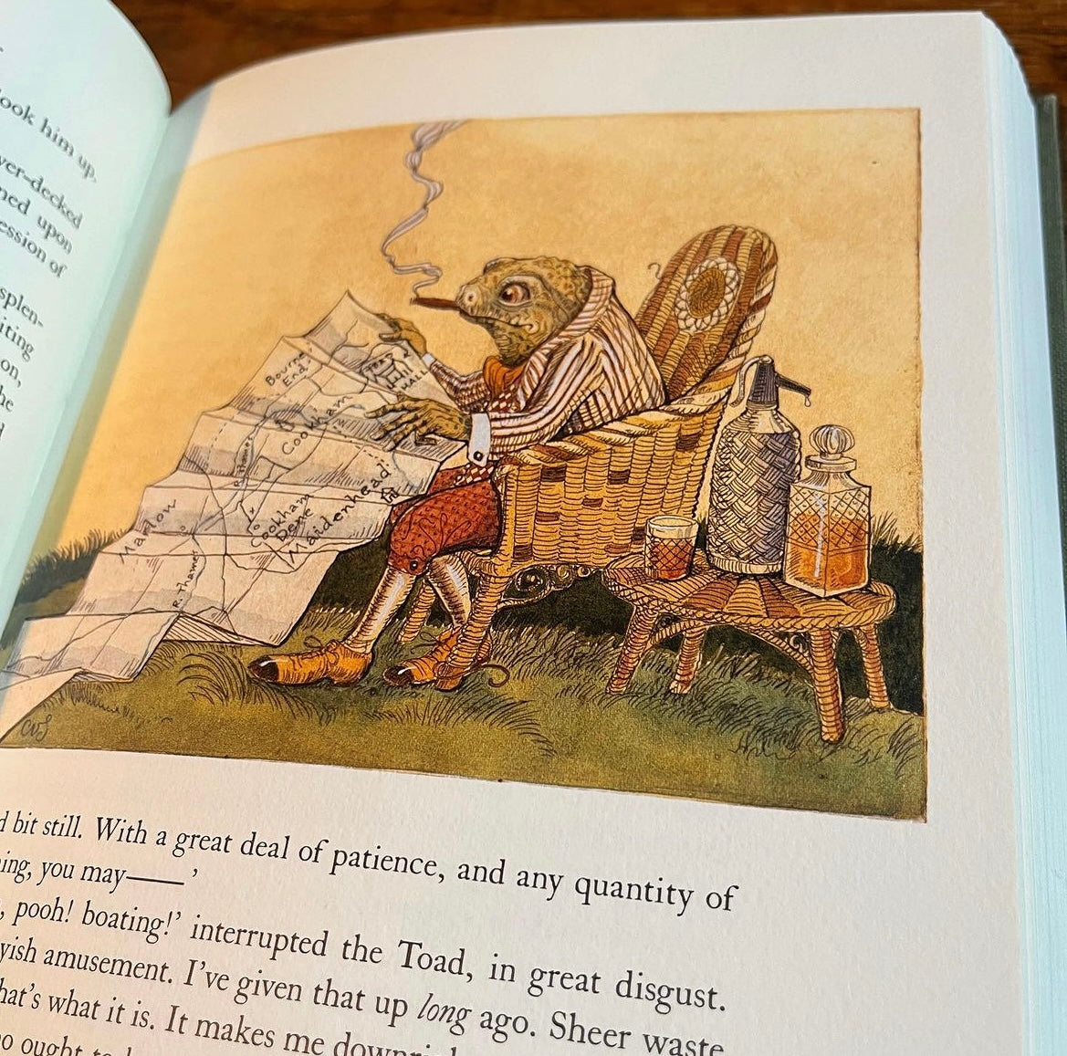 The Wind in the Willows – Kenneth Grahame, Charles van Sandwyk
