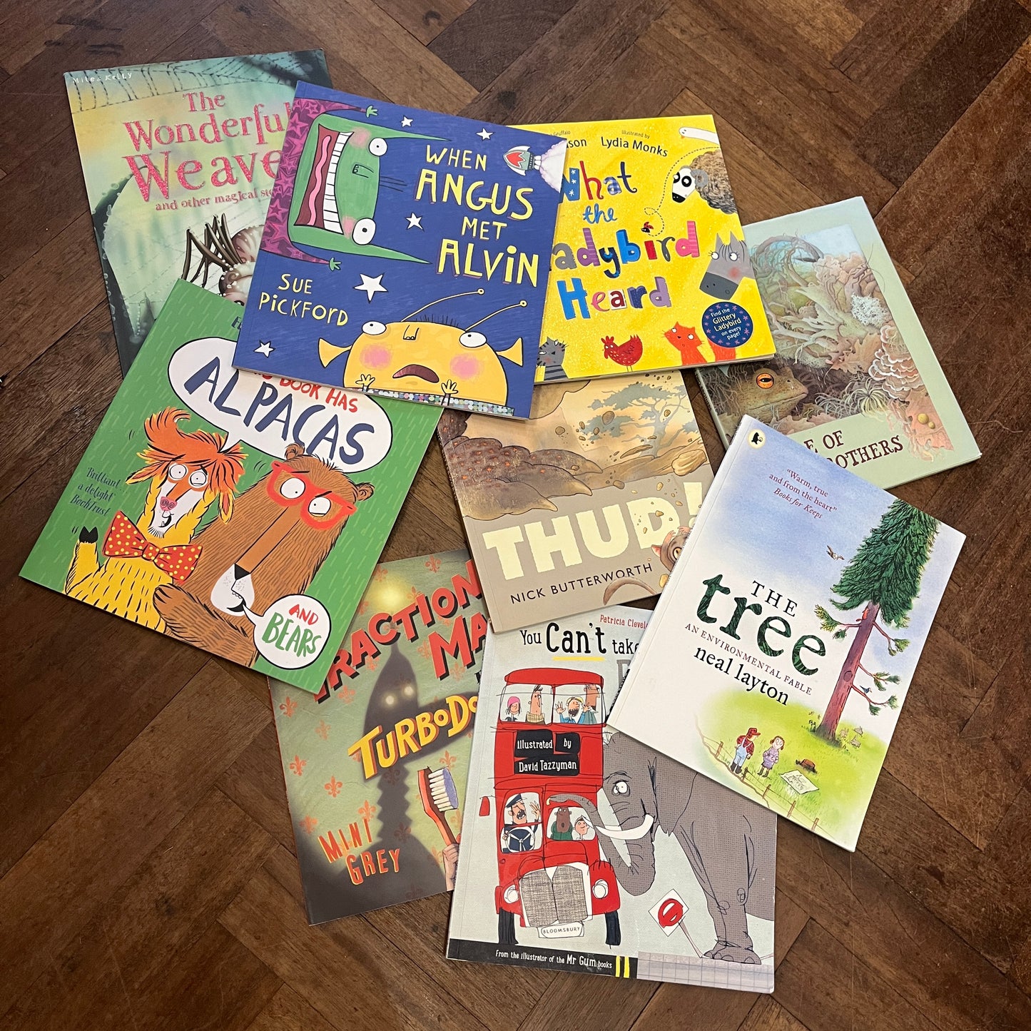 Picturebook Bundle One – 9 books