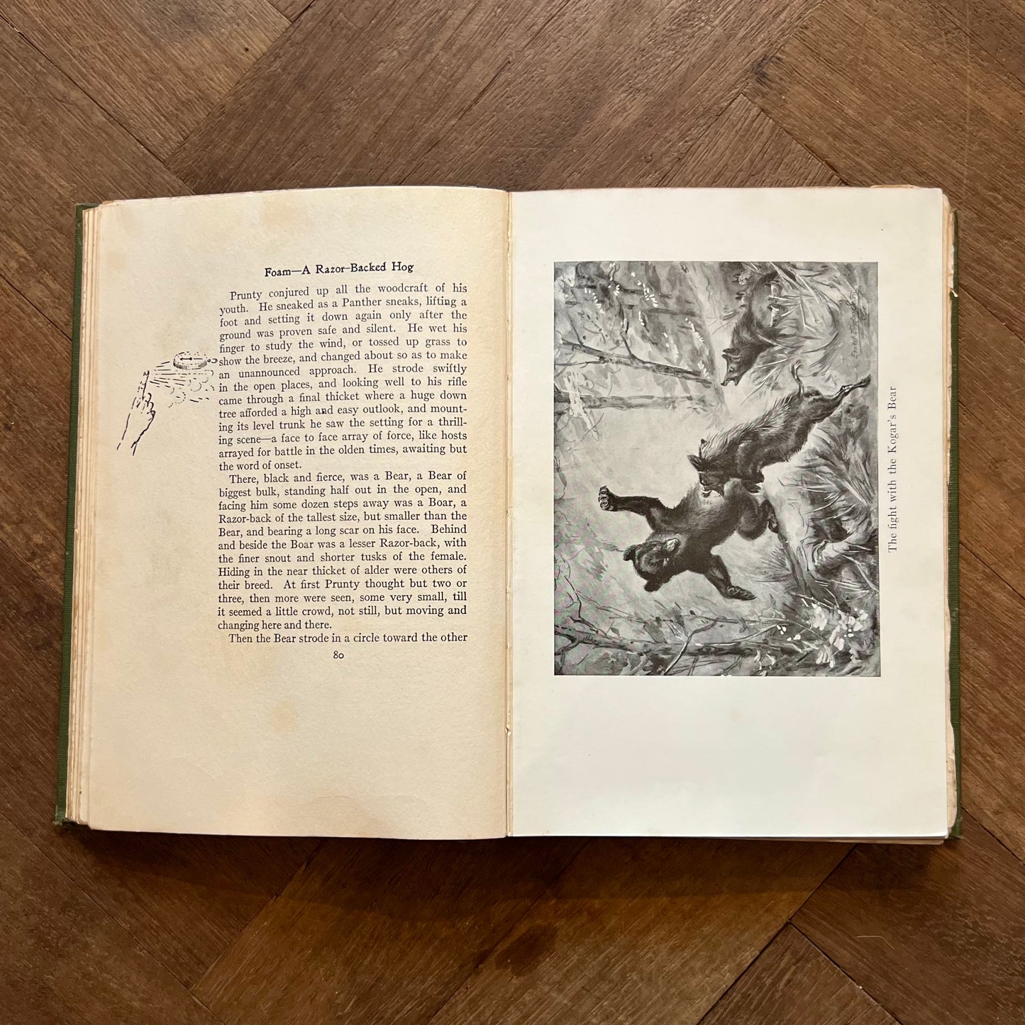 Wild Animal Ways – Ernest Thompson Seton