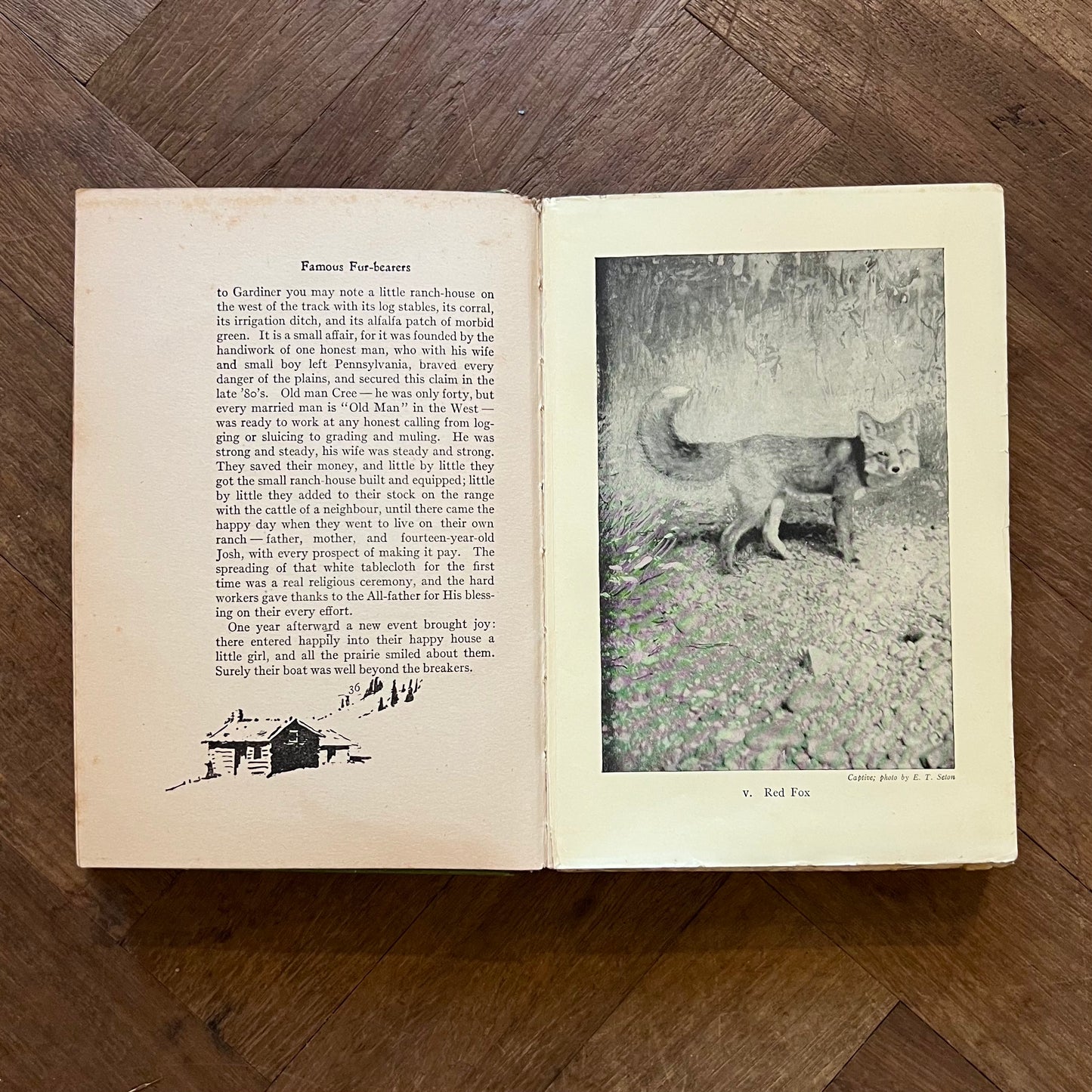 Wild Animals at Home (1913) – Ernest Thompson Seton