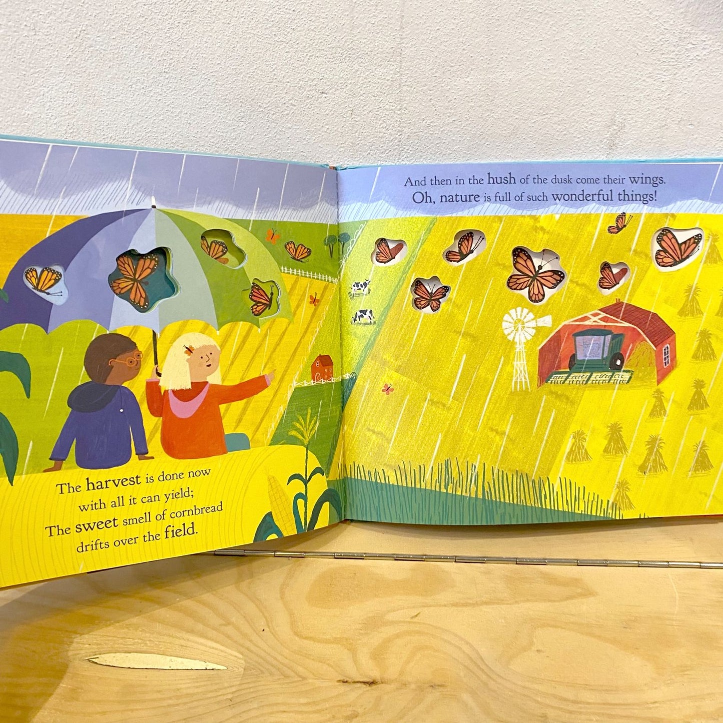 Look to the Skies – Nicola Edwards, Hannah Tolson