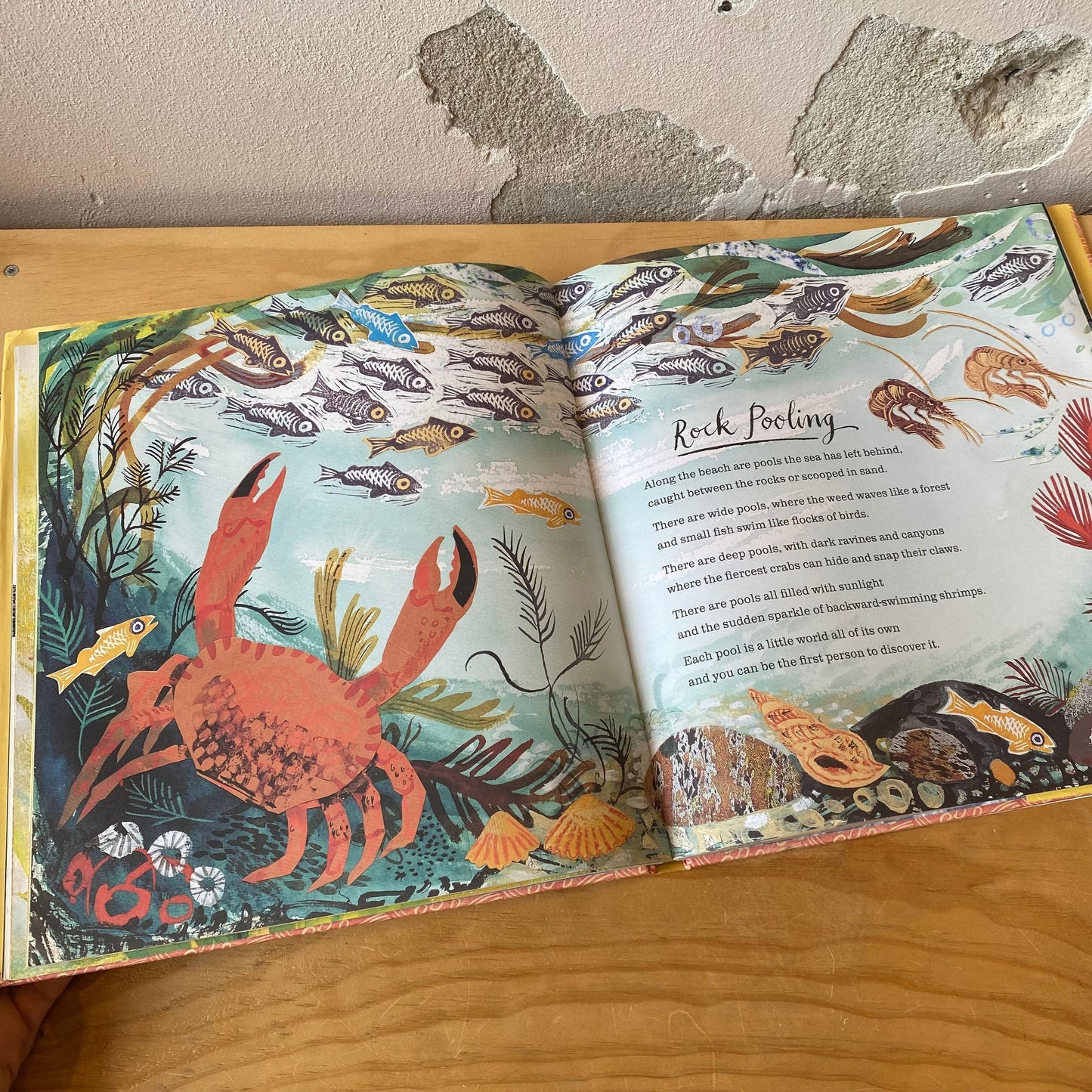 A First Book of Nature – Nicola Davies, Mark Hearld