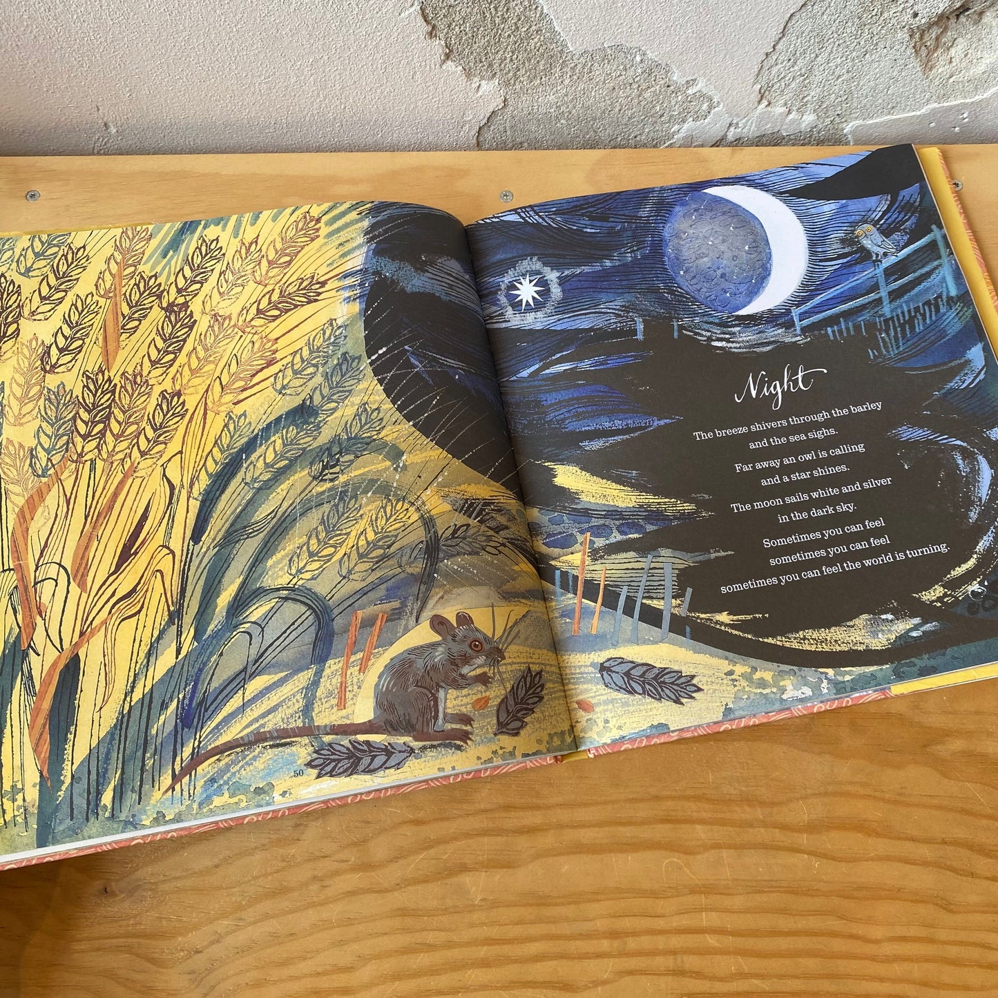 A First Book of Nature – Nicola Davies, Mark Hearld
