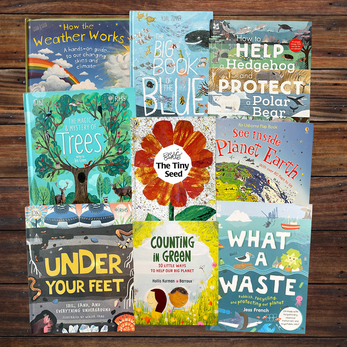 Natural World: Earth - Paperback