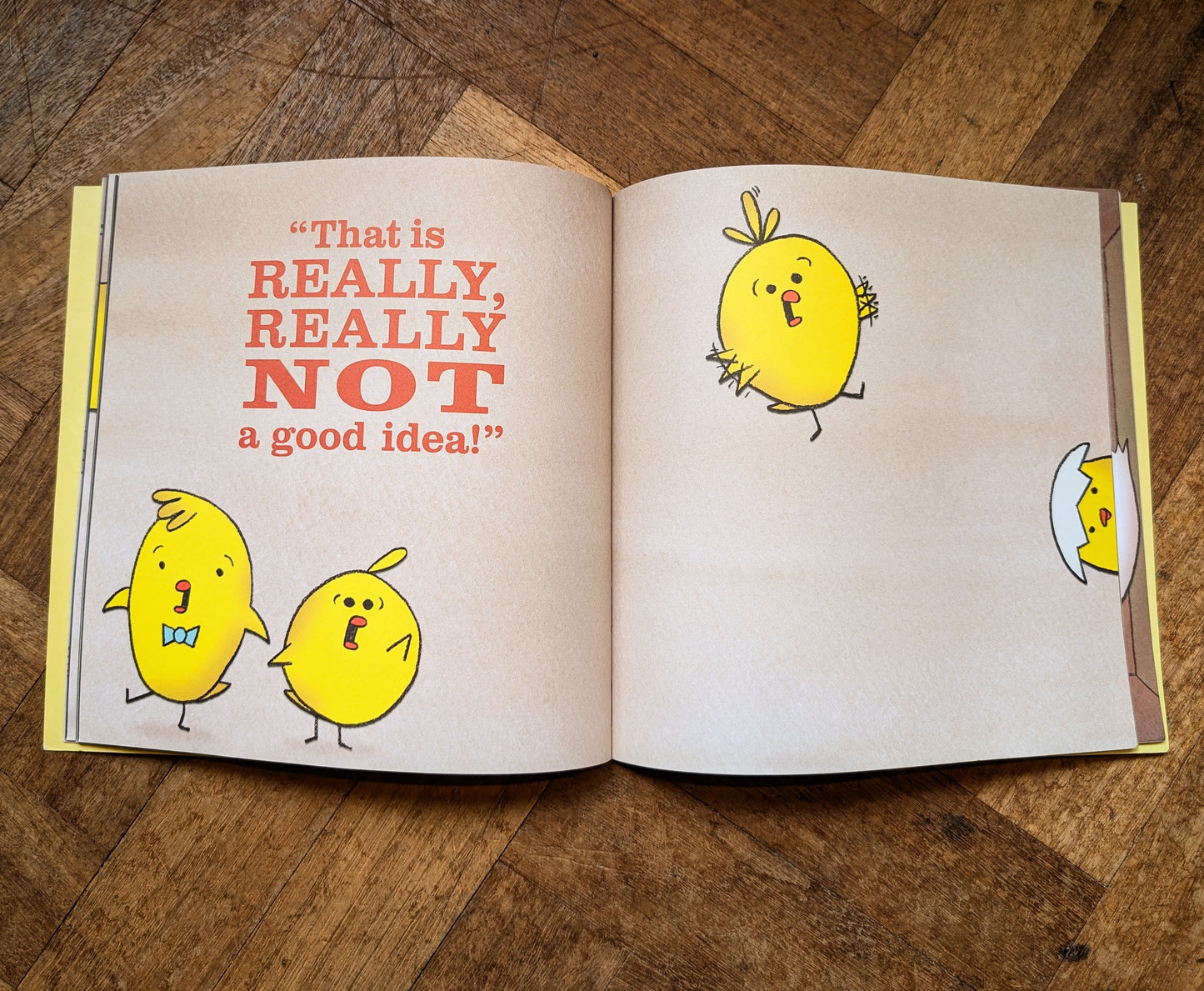 That Is NOT a Good Idea! – Mo Willems