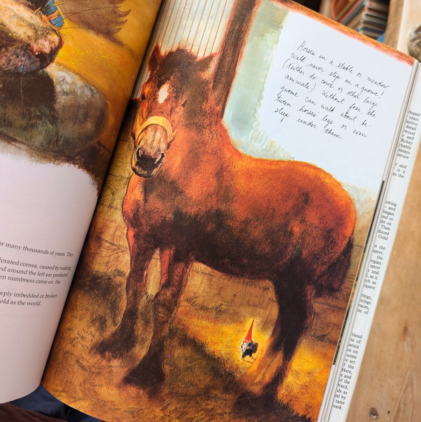 Gnomes (1977 First Edition) – Wil Huygen