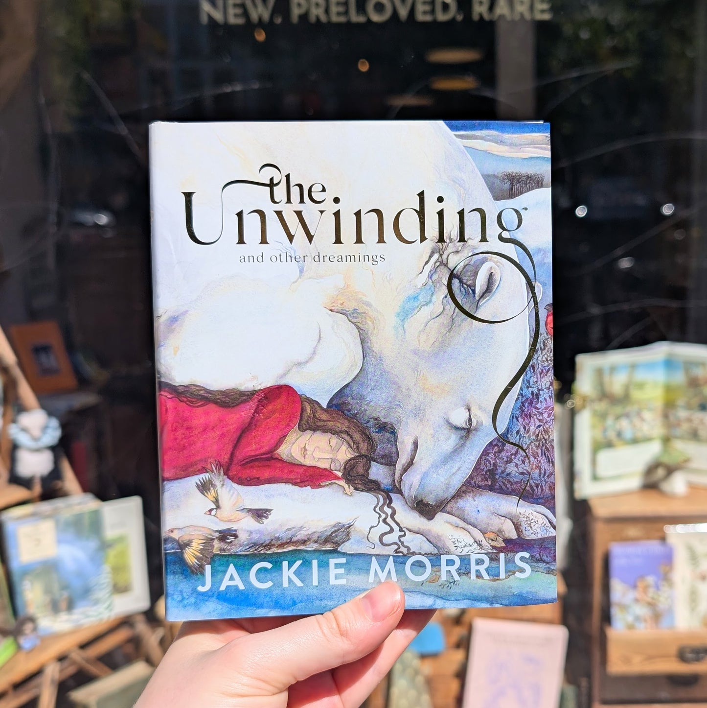 The Unwinding and Other Dreamings – Jackie Morris