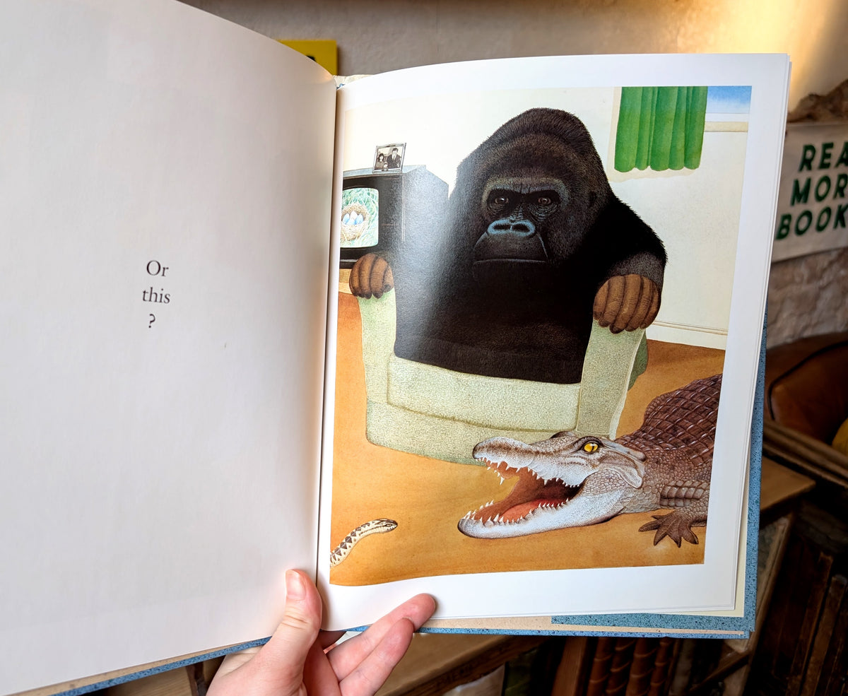 Changes (First Edition) – Anthony Browne